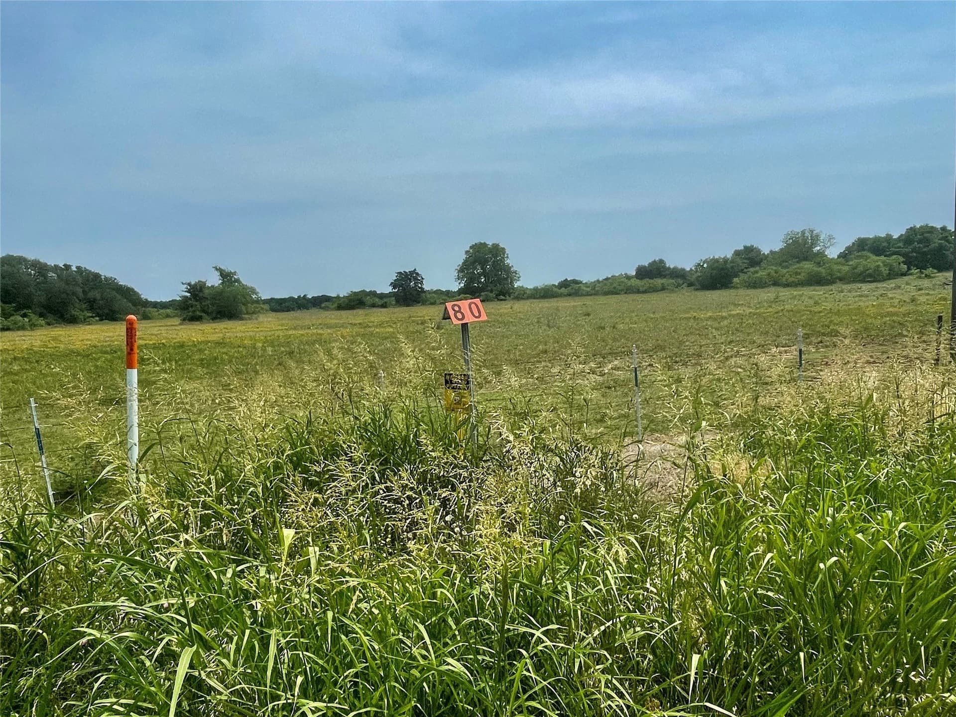 7.6 acres in Falls County - photo 6