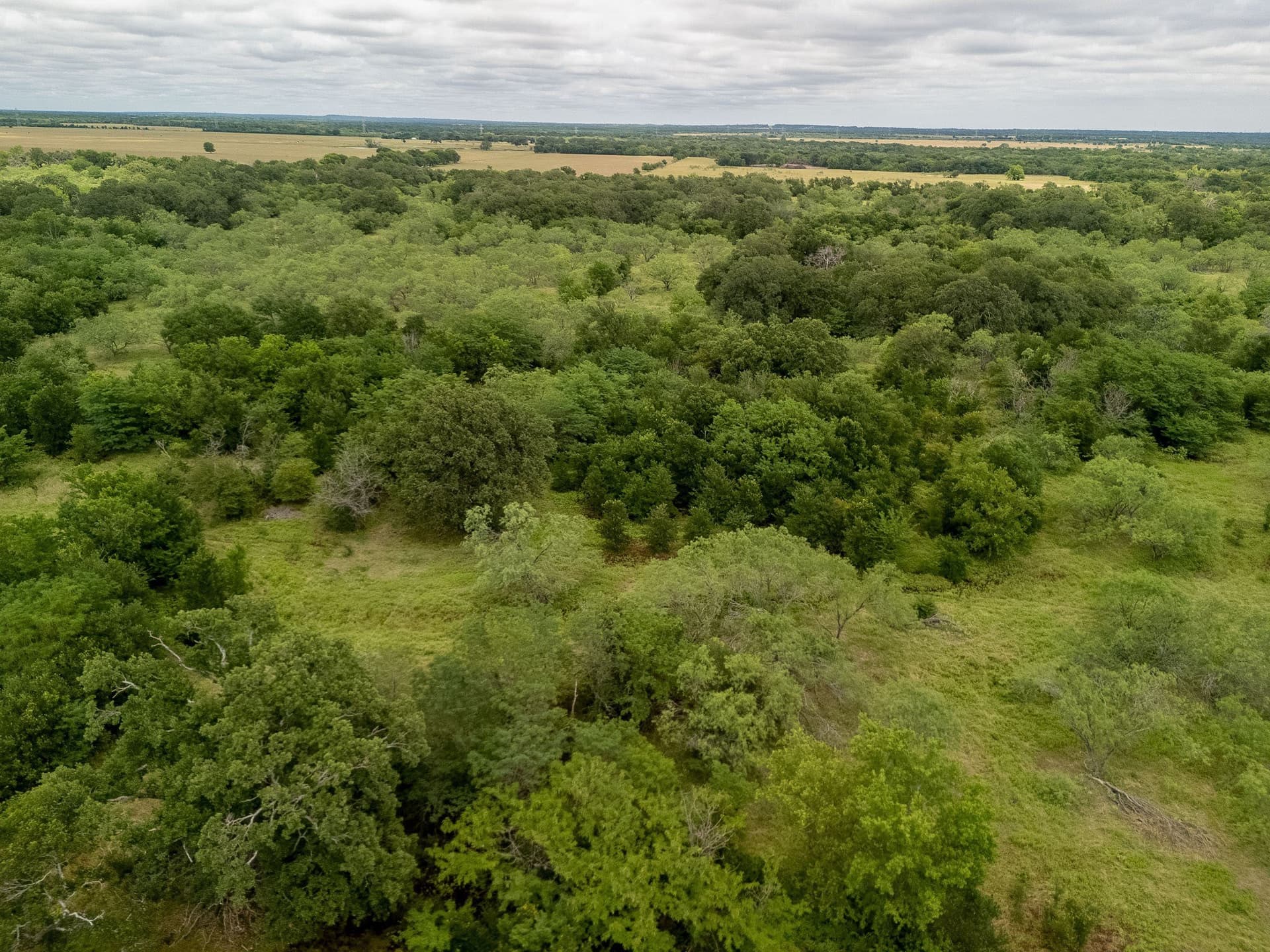 20 acres in Falls County - photo 25