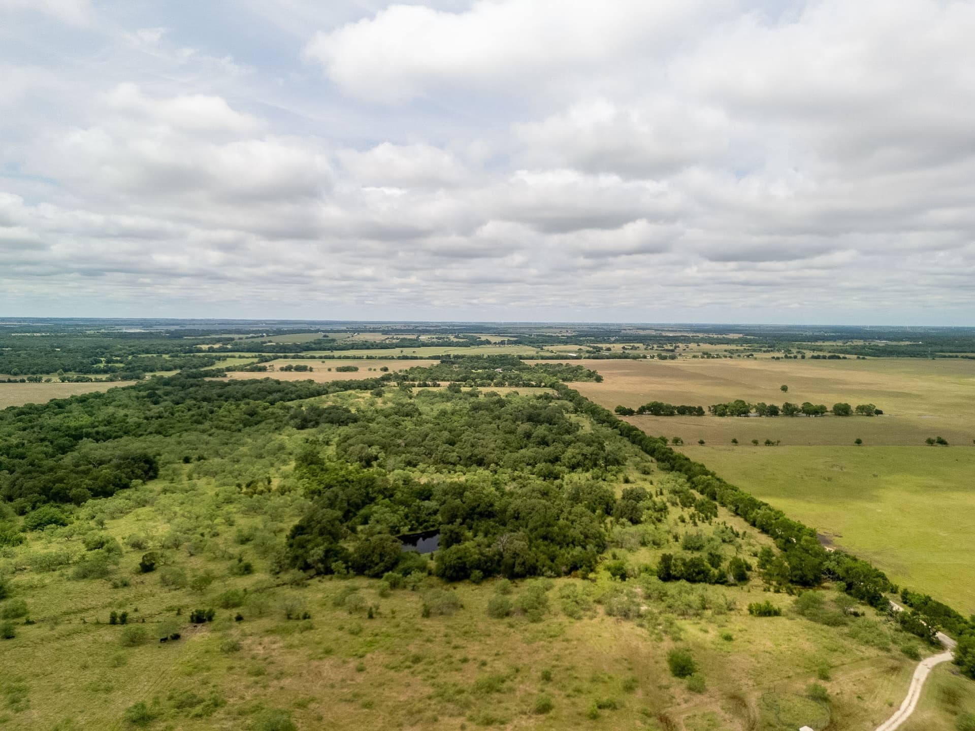 20 acres in Falls County - photo 15