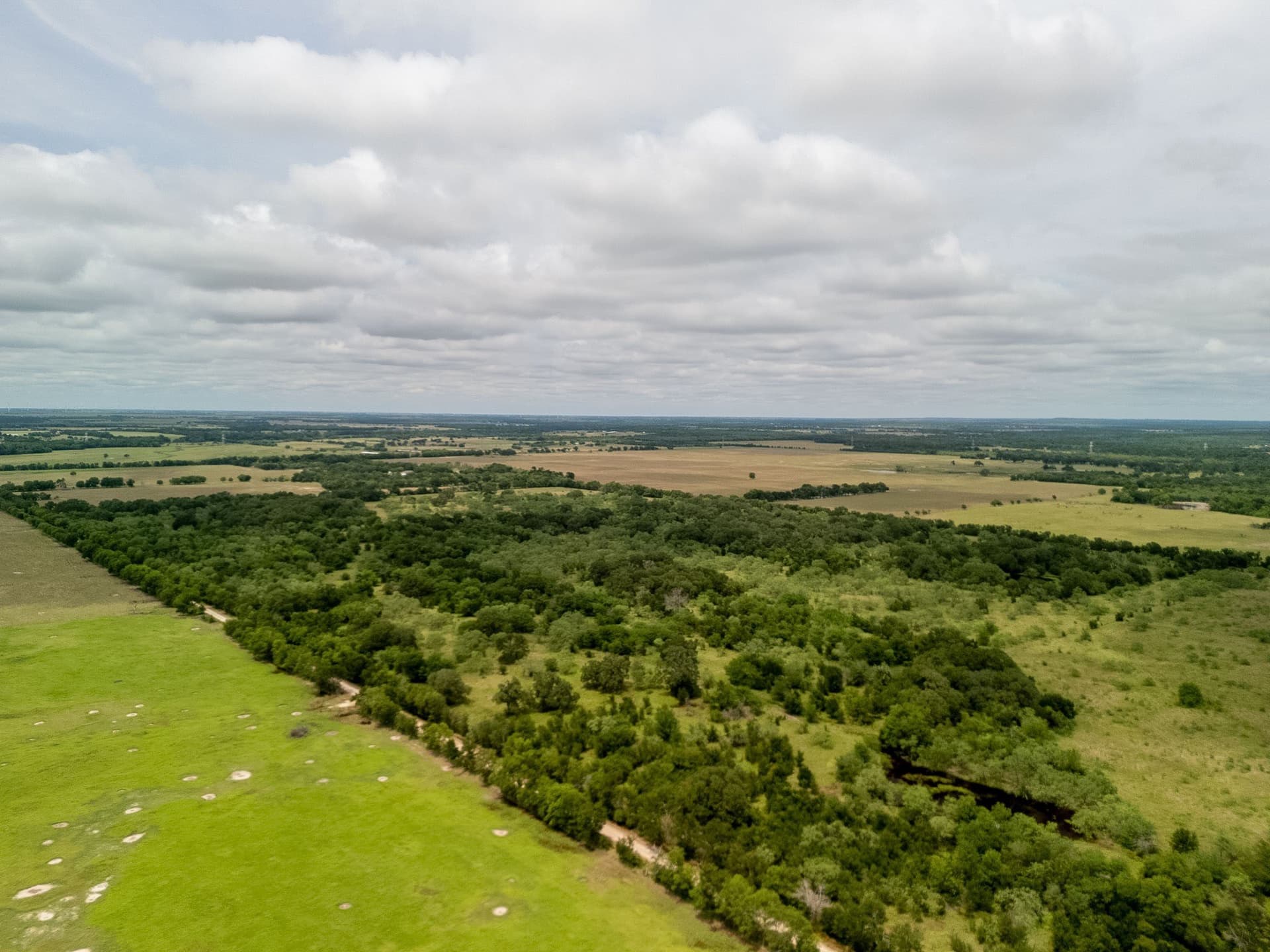 20 acres in Falls County - photo 12