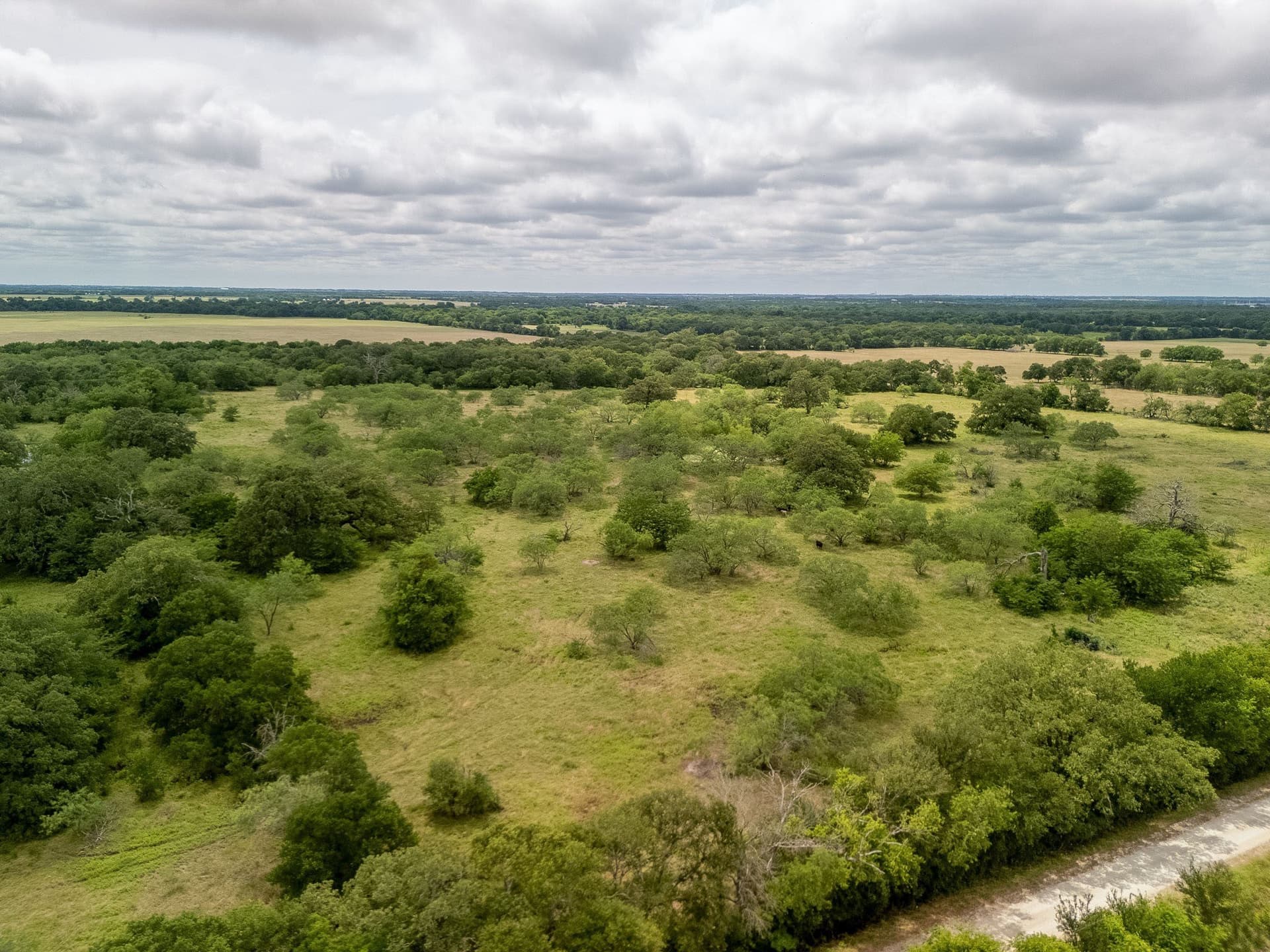 20 acres in Falls County - photo 29