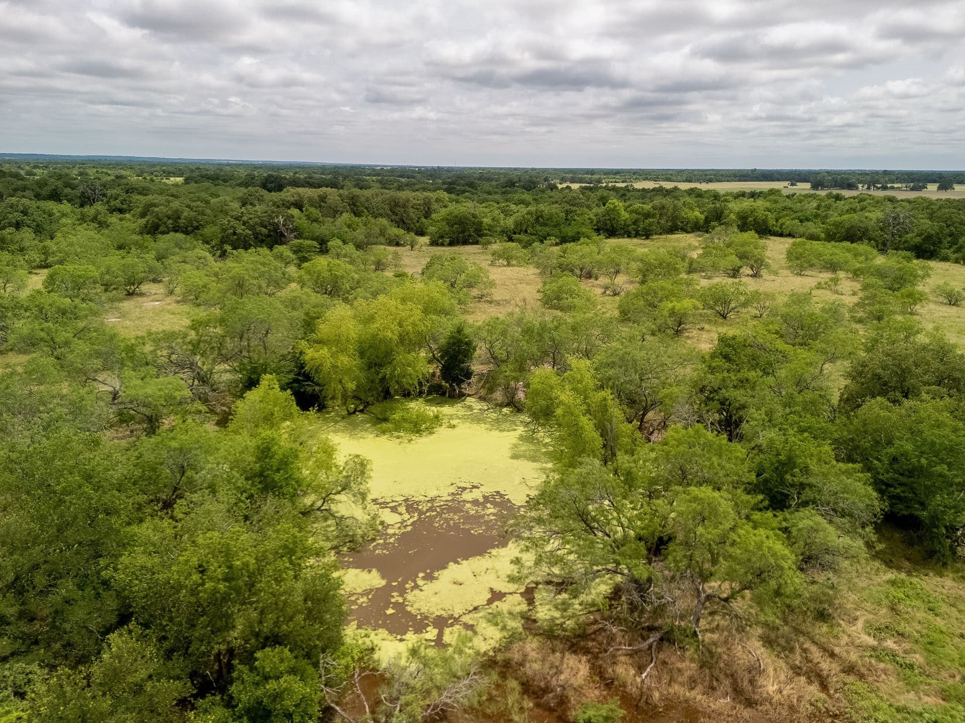 20 acres in Falls County - photo 31