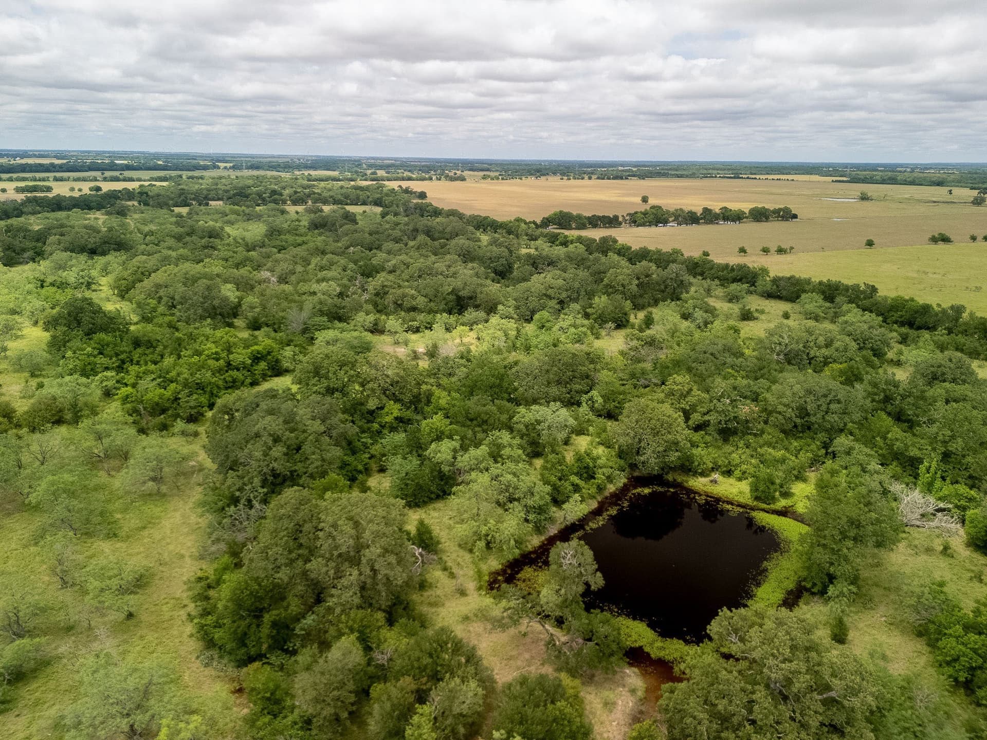 20 acres in Falls County - photo 34