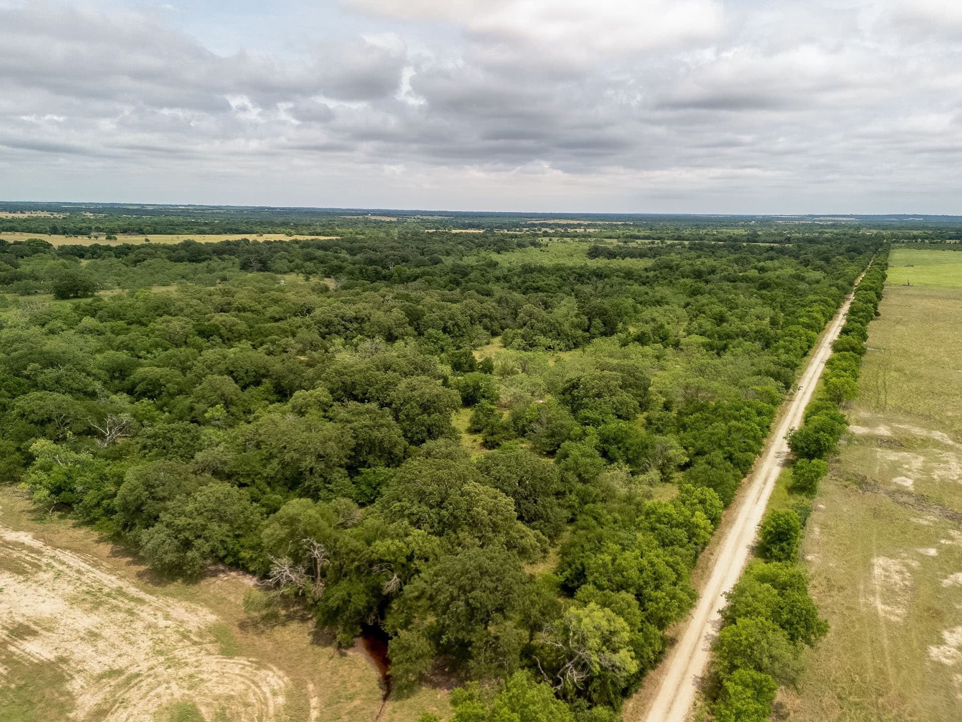 20 acres in Falls County - photo 4
