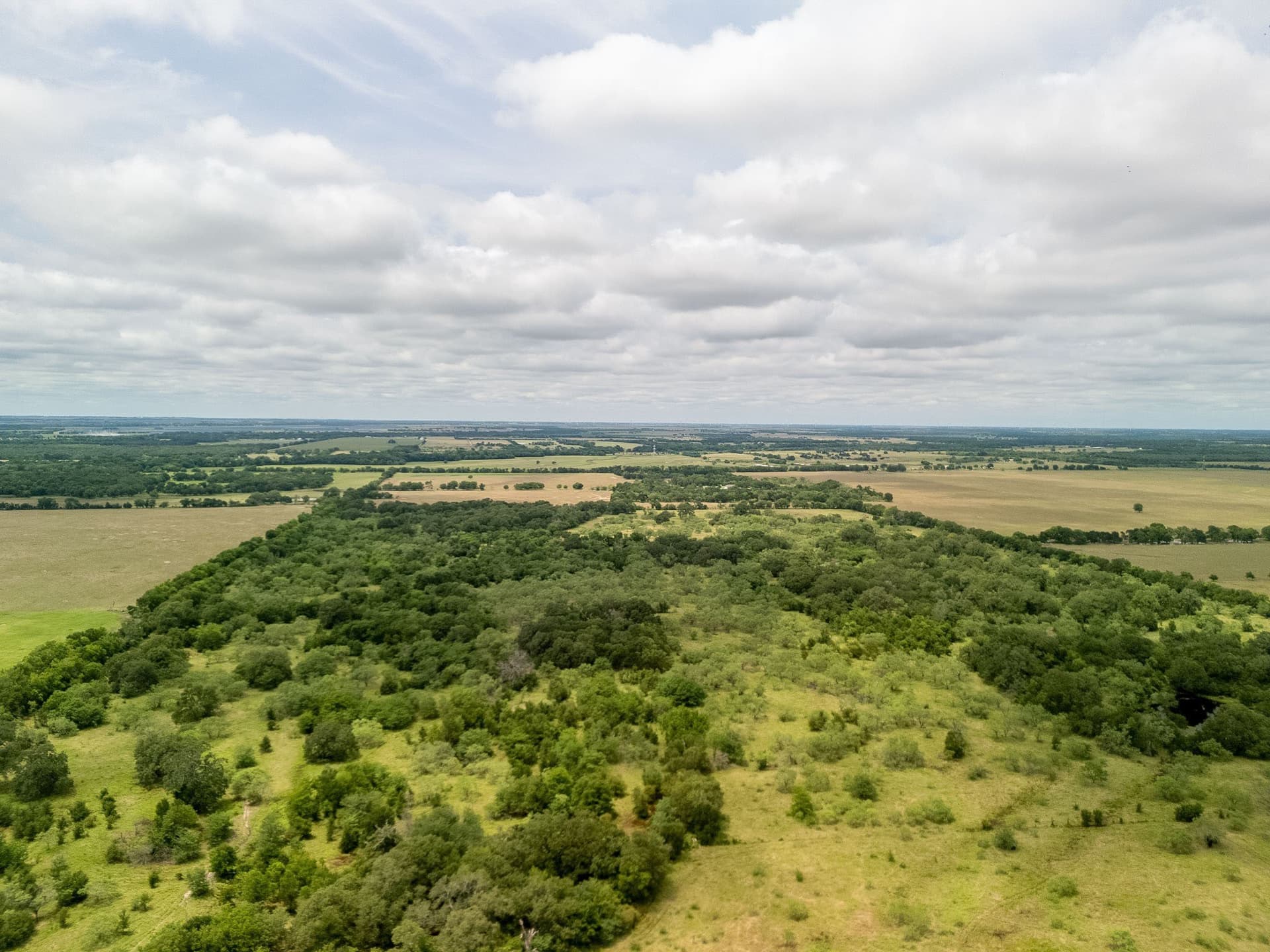 20 acres in Falls County - photo 14