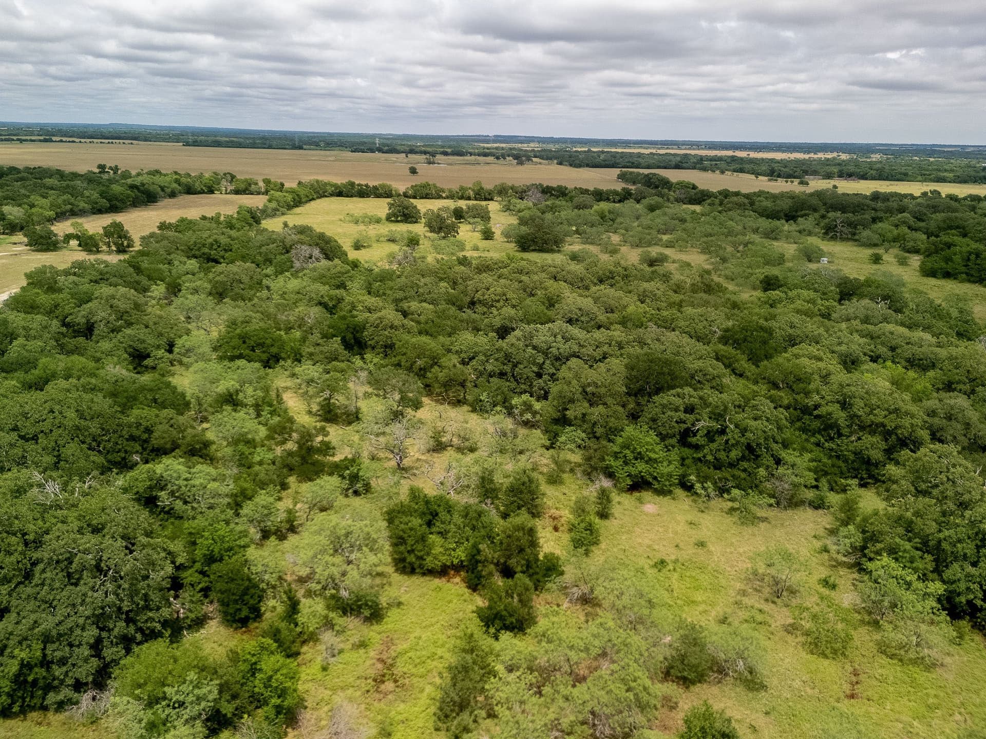 20 acres in Falls County - photo 23