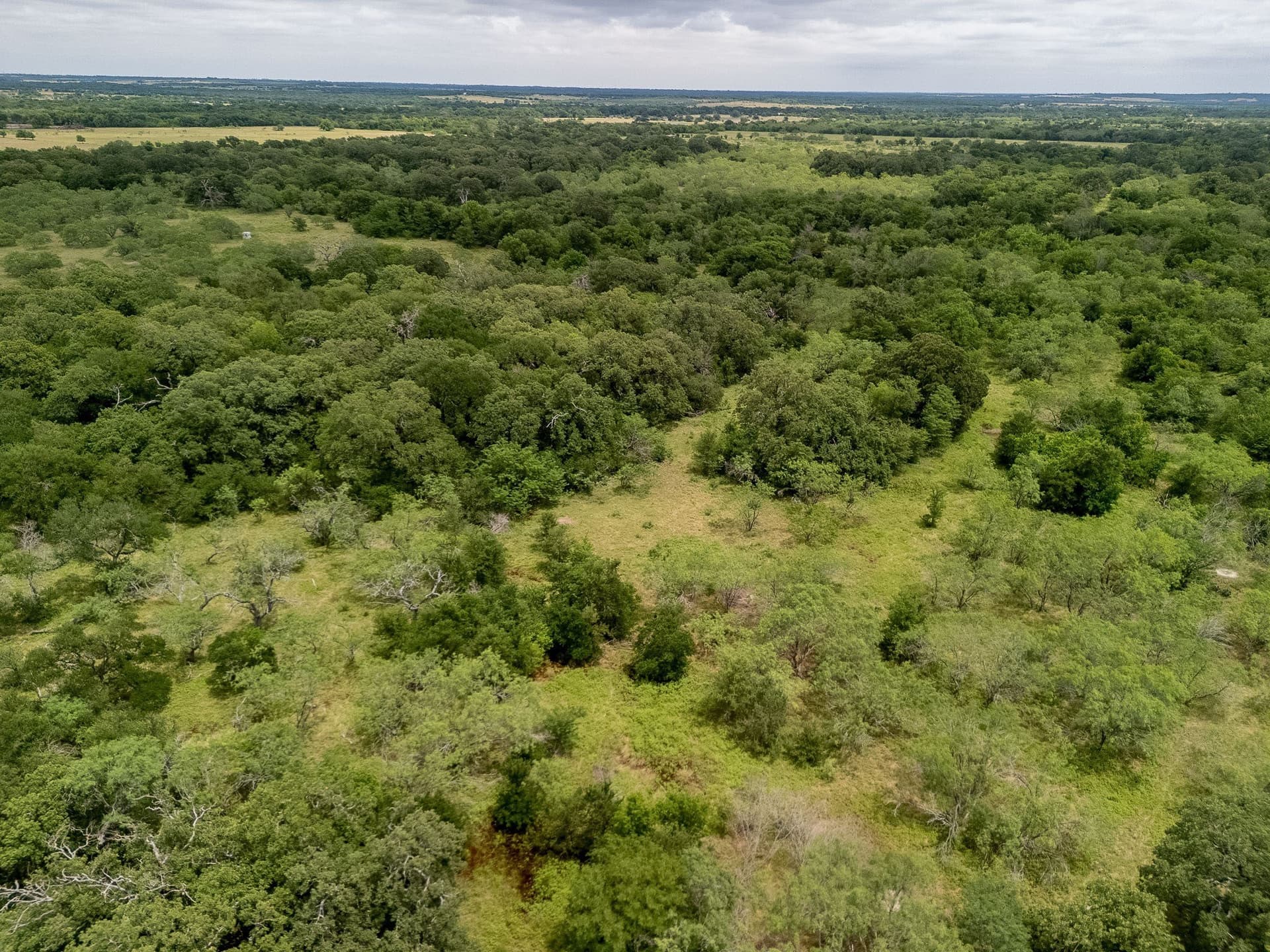 20 acres in Falls County - photo 22