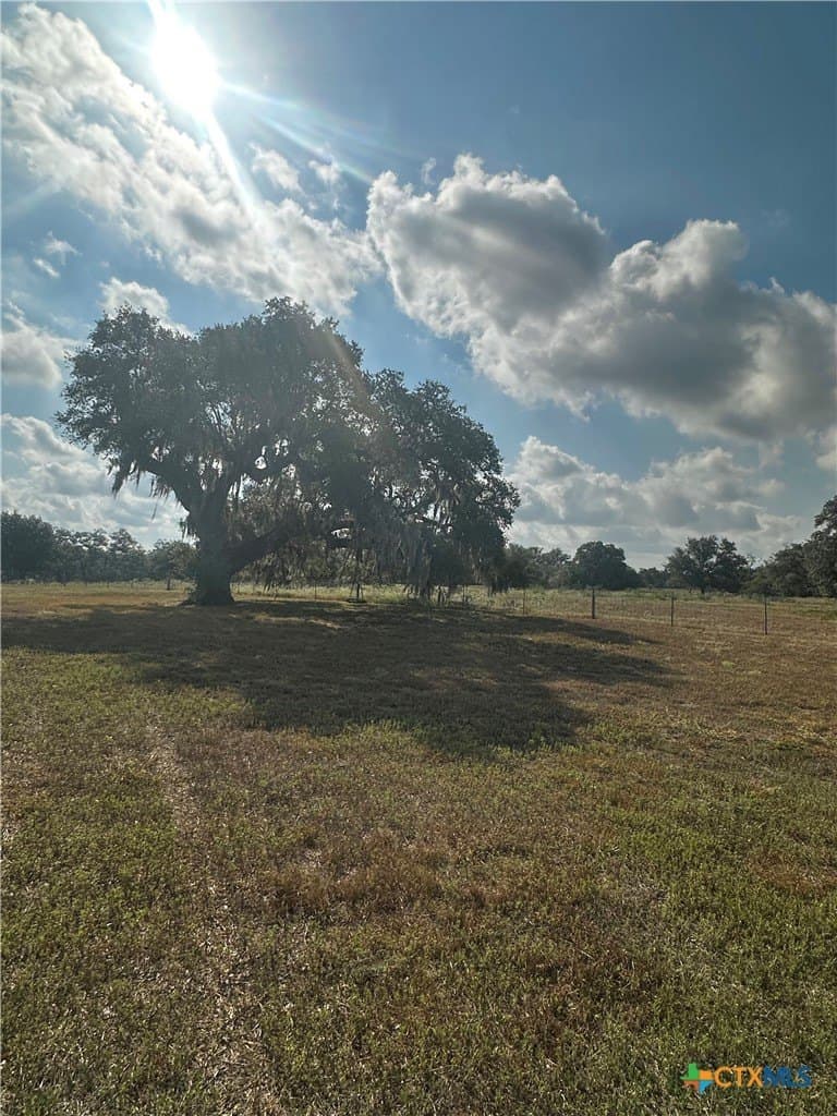50 acres in DeWitt County - photo 27