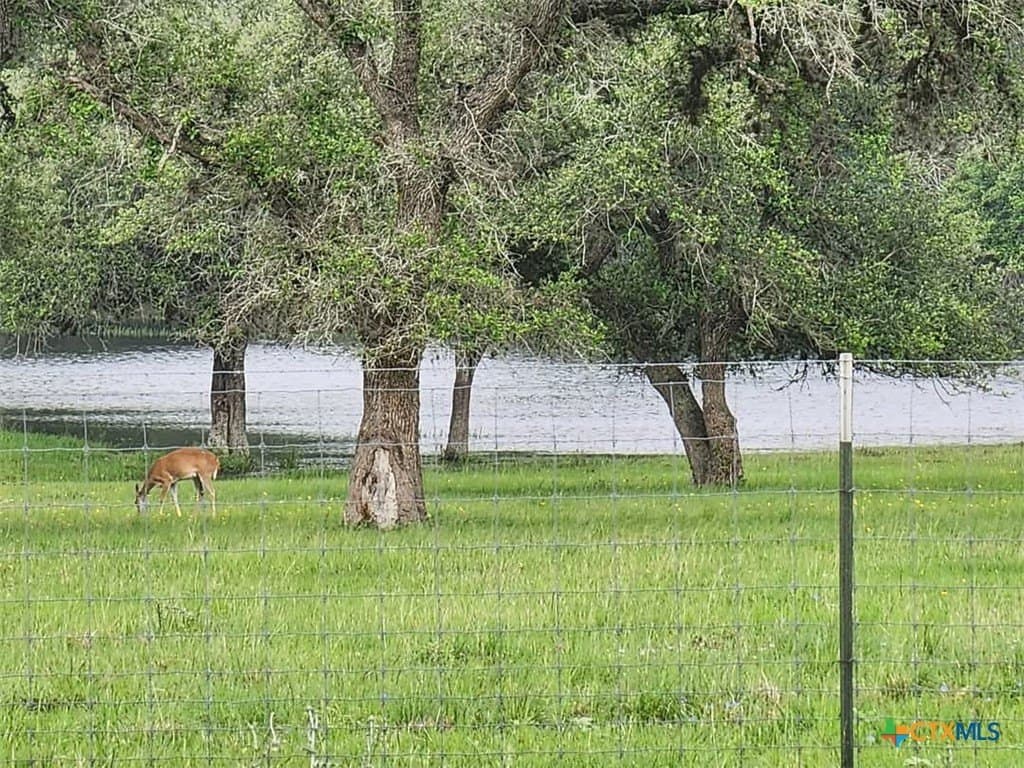 50 acres in DeWitt County - photo 39