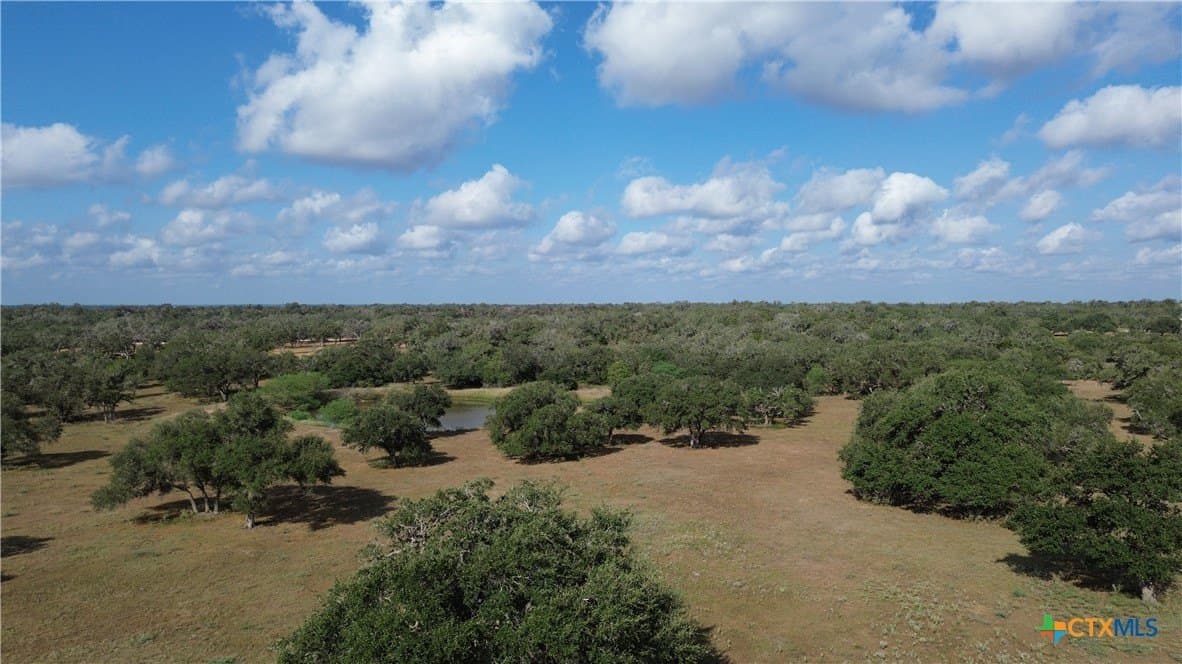 50 acres in DeWitt County - photo 32