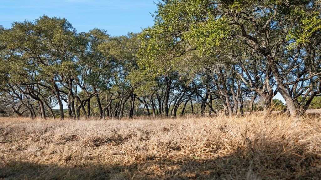 60.69 acres in Kerr County - photo 58
