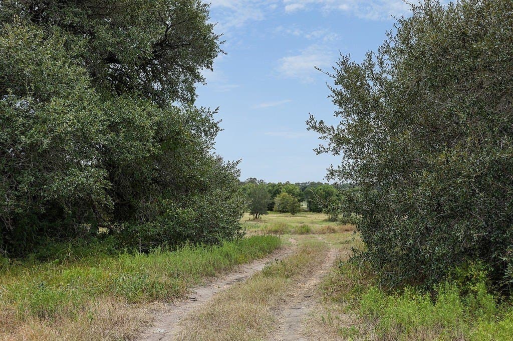 16.02 acres in Fayette County