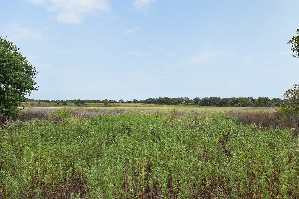 16.02 acres in Fayette County - photo 9