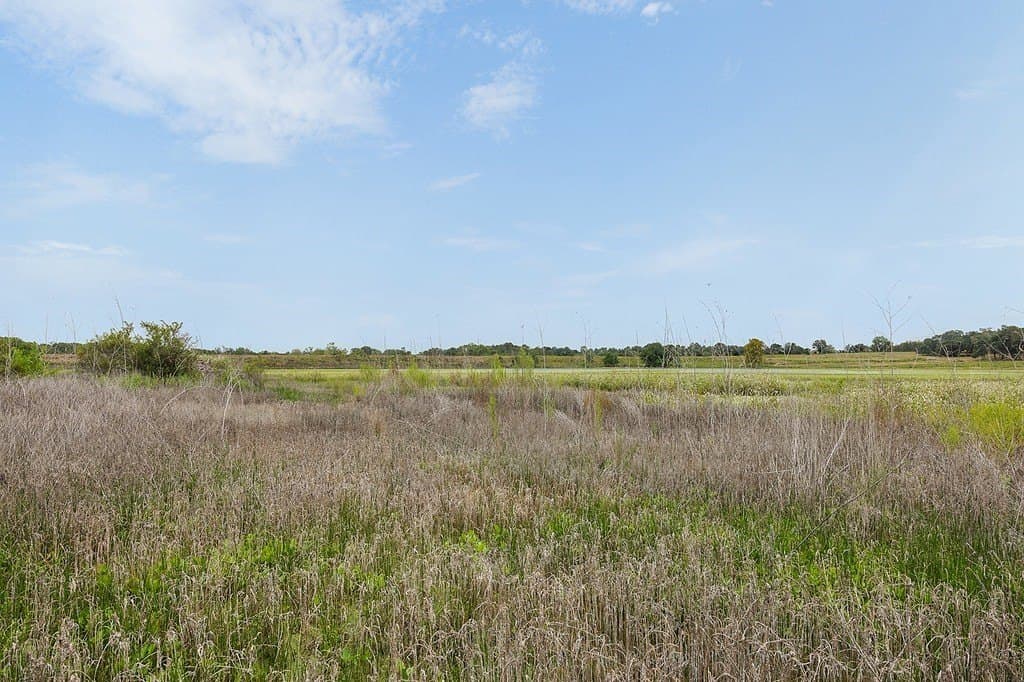 16.02 acres in Fayette County - photo 11