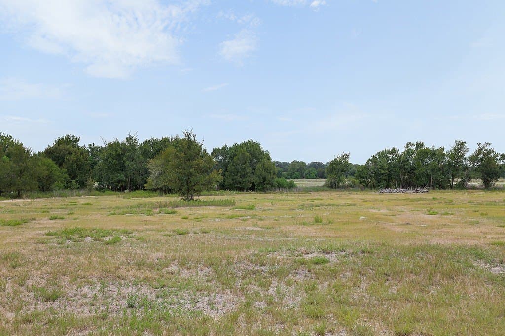 16.02 acres in Fayette County - photo 5