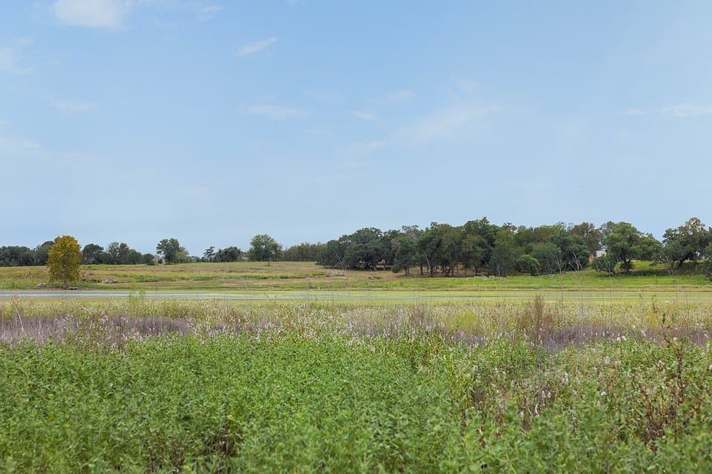 16.02 acres in Fayette County - photo 10