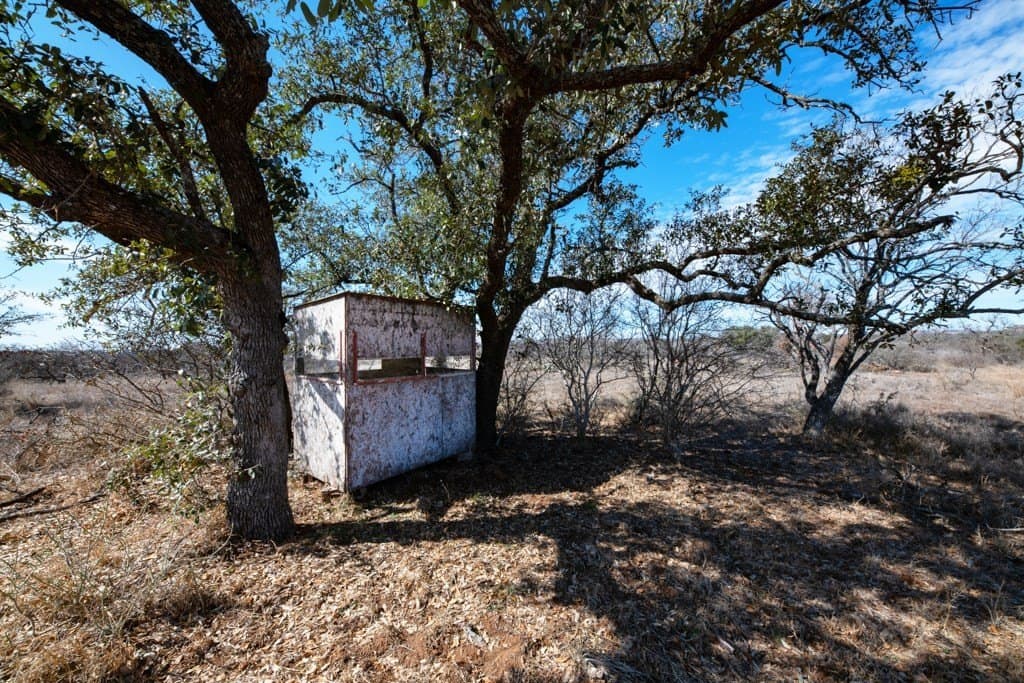 79.35 acres in Mason County gallery image 3