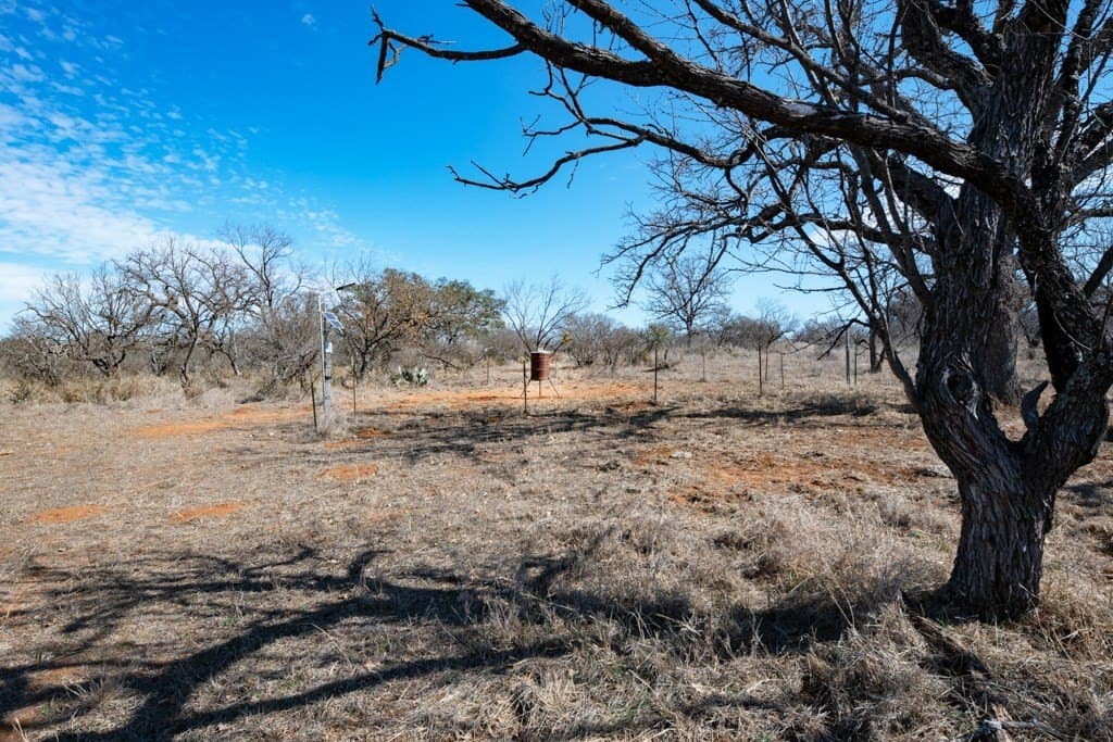 79.35 acres in Mason County gallery image 4