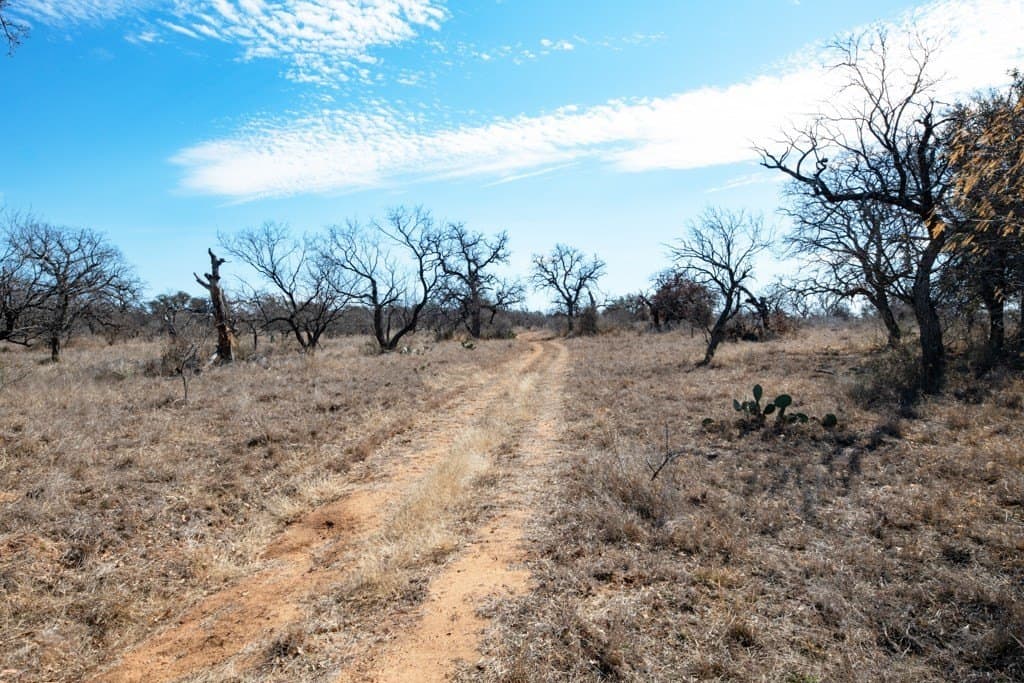 79.35 acres in Mason County gallery image 2