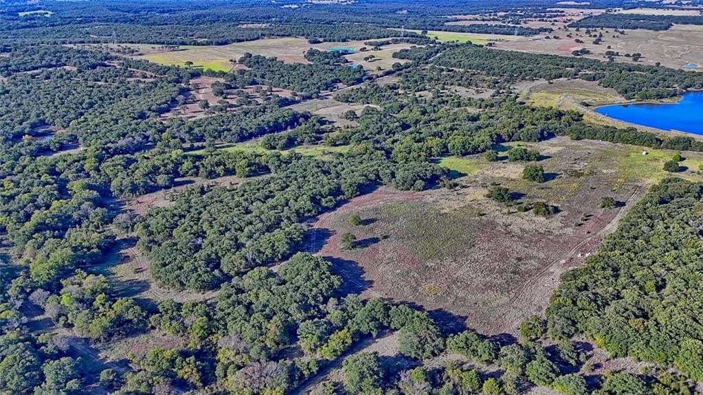 46 acres in Clay County gallery image 4