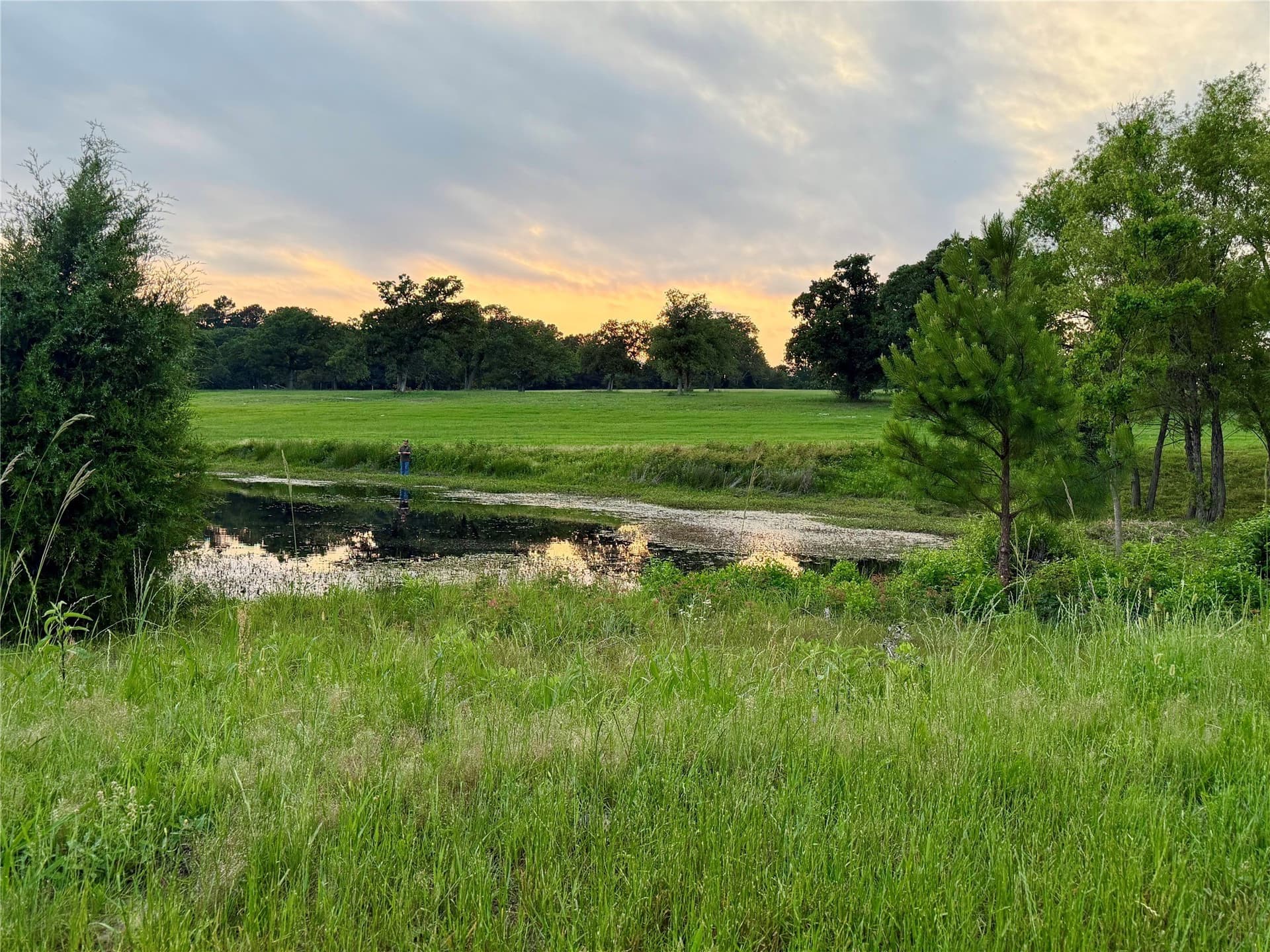 6 acres in Henderson County - photo 2