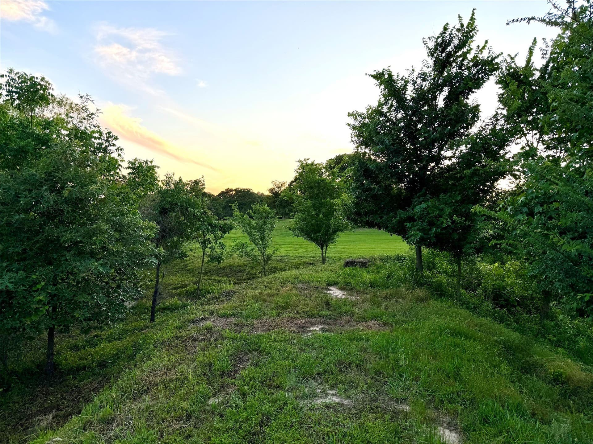 6 acres in Henderson County - photo 11