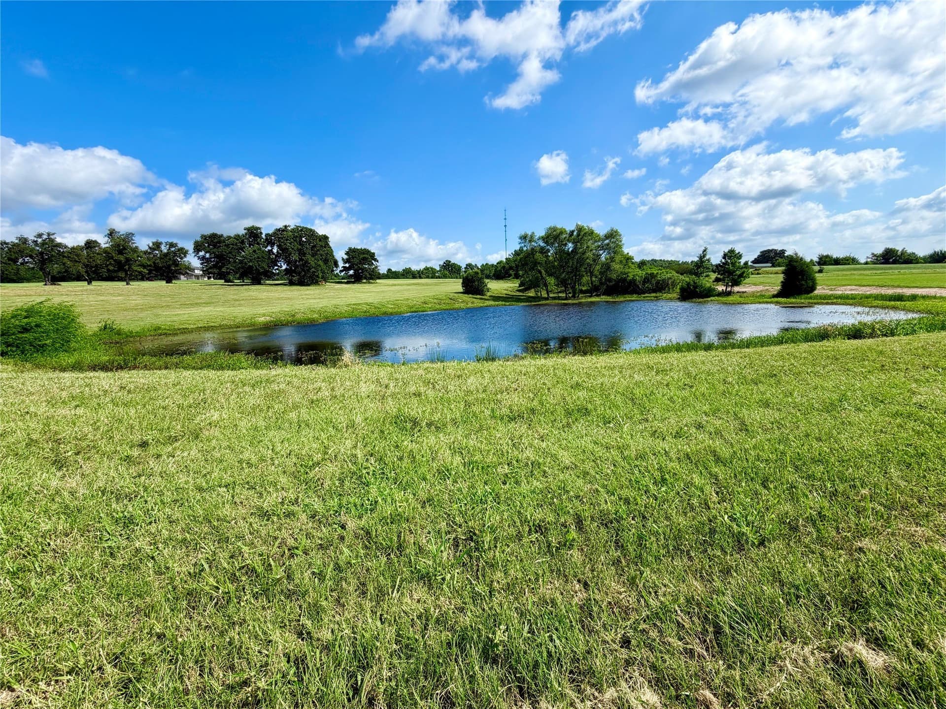 6 acres in Henderson County - photo 10