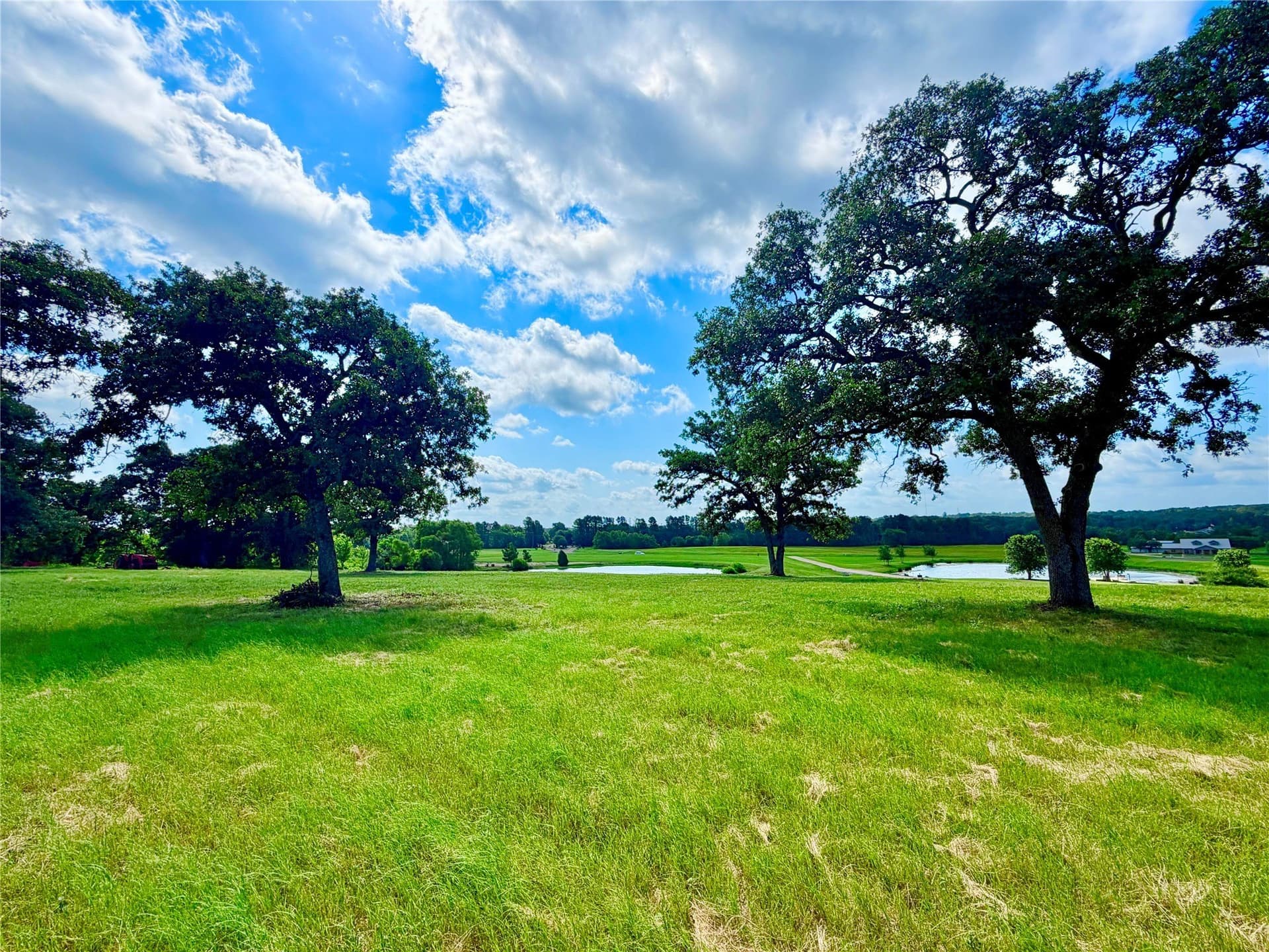 6 acres in Henderson County - photo 4