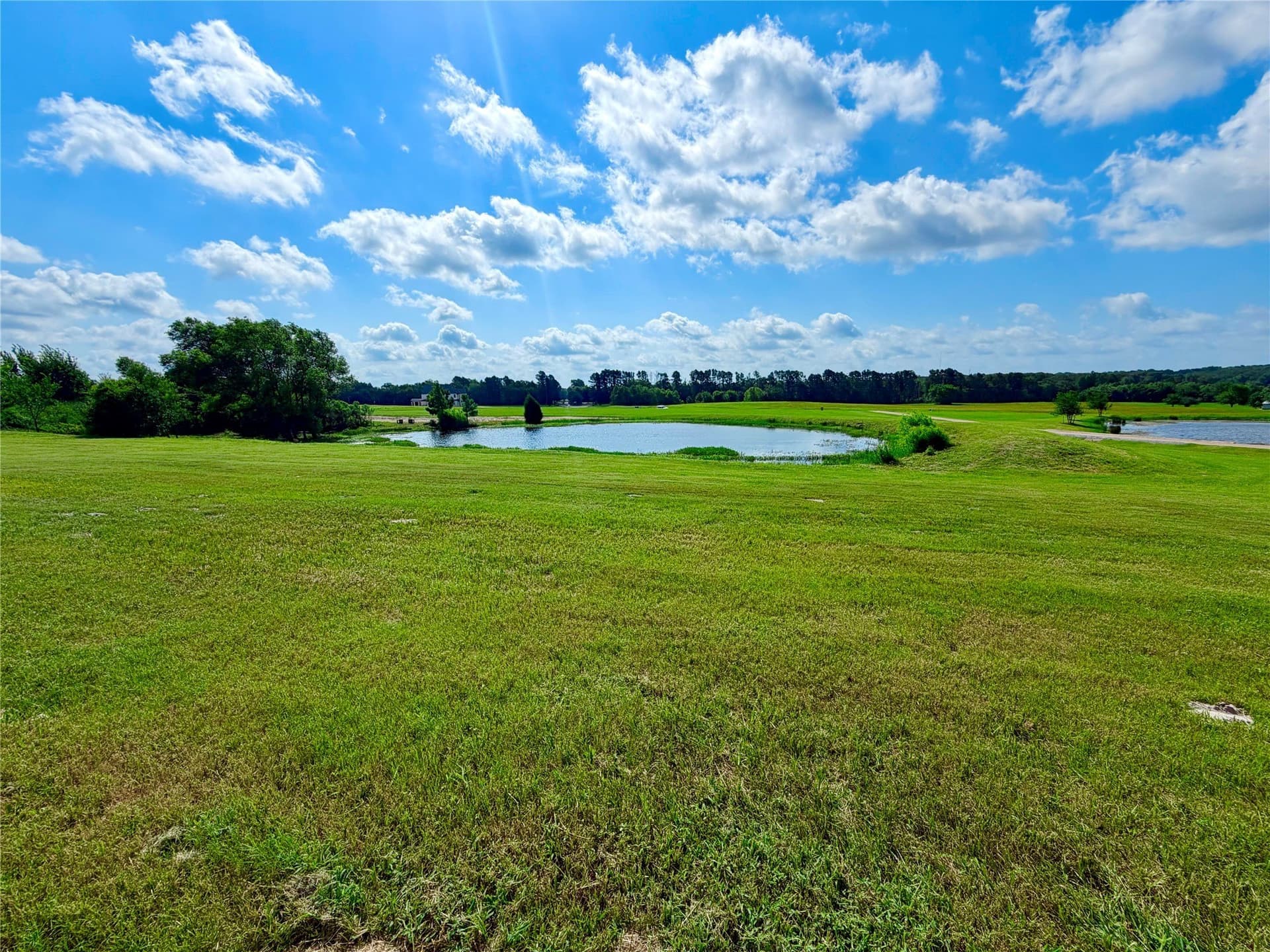 6 acres in Henderson County - photo 12