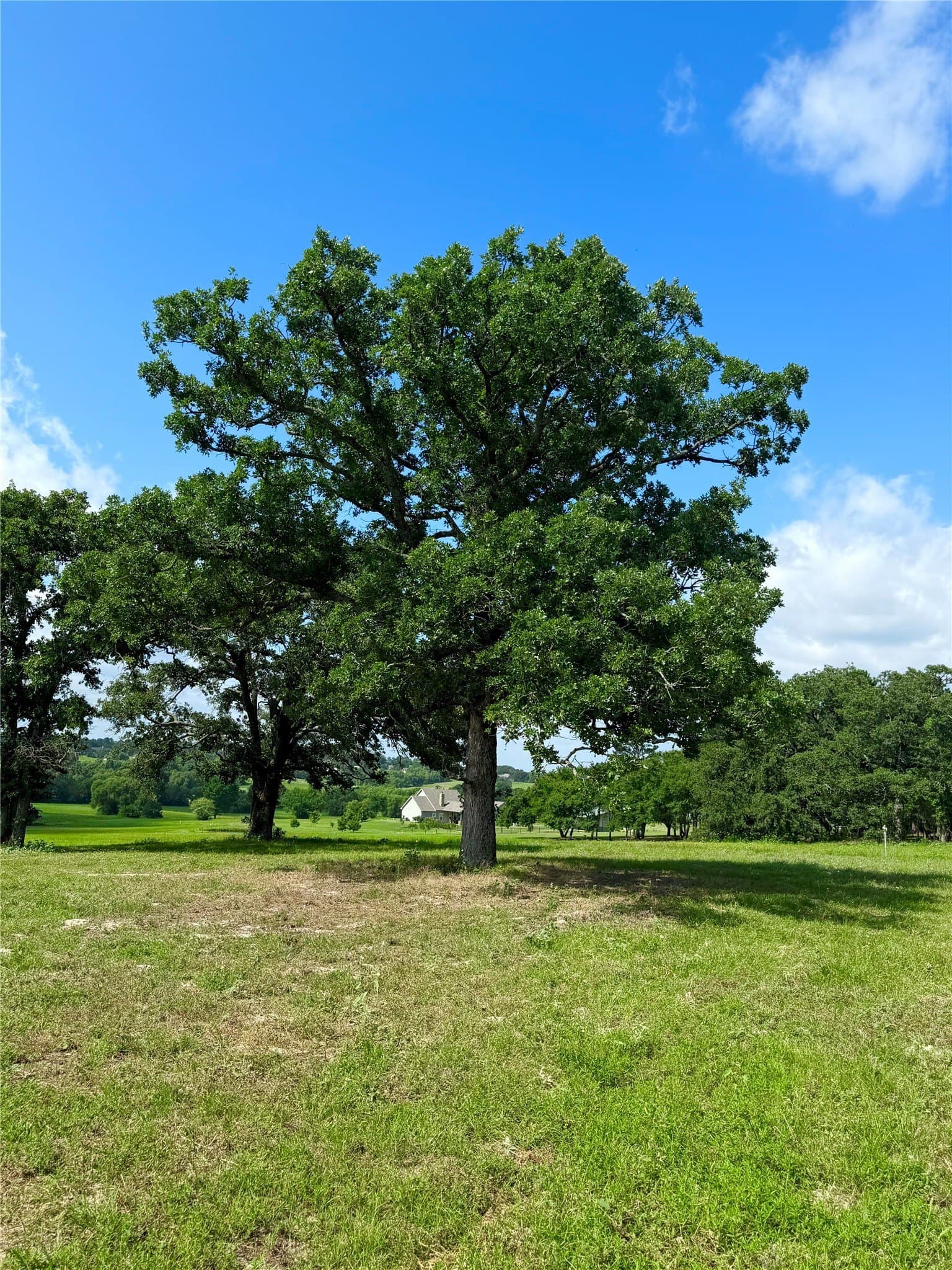 6 acres in Henderson County - photo 5