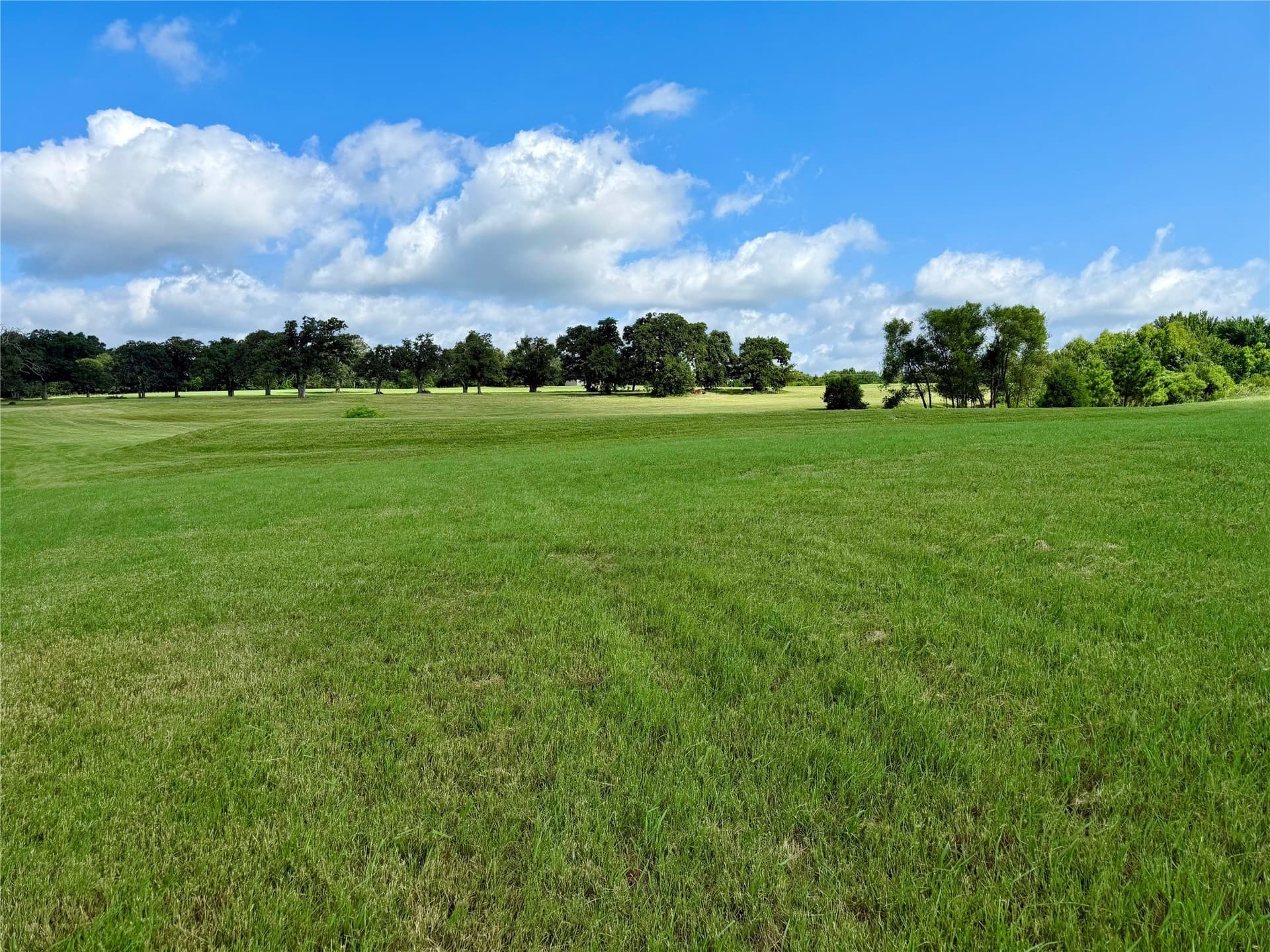 6 acres in Henderson County - photo 9