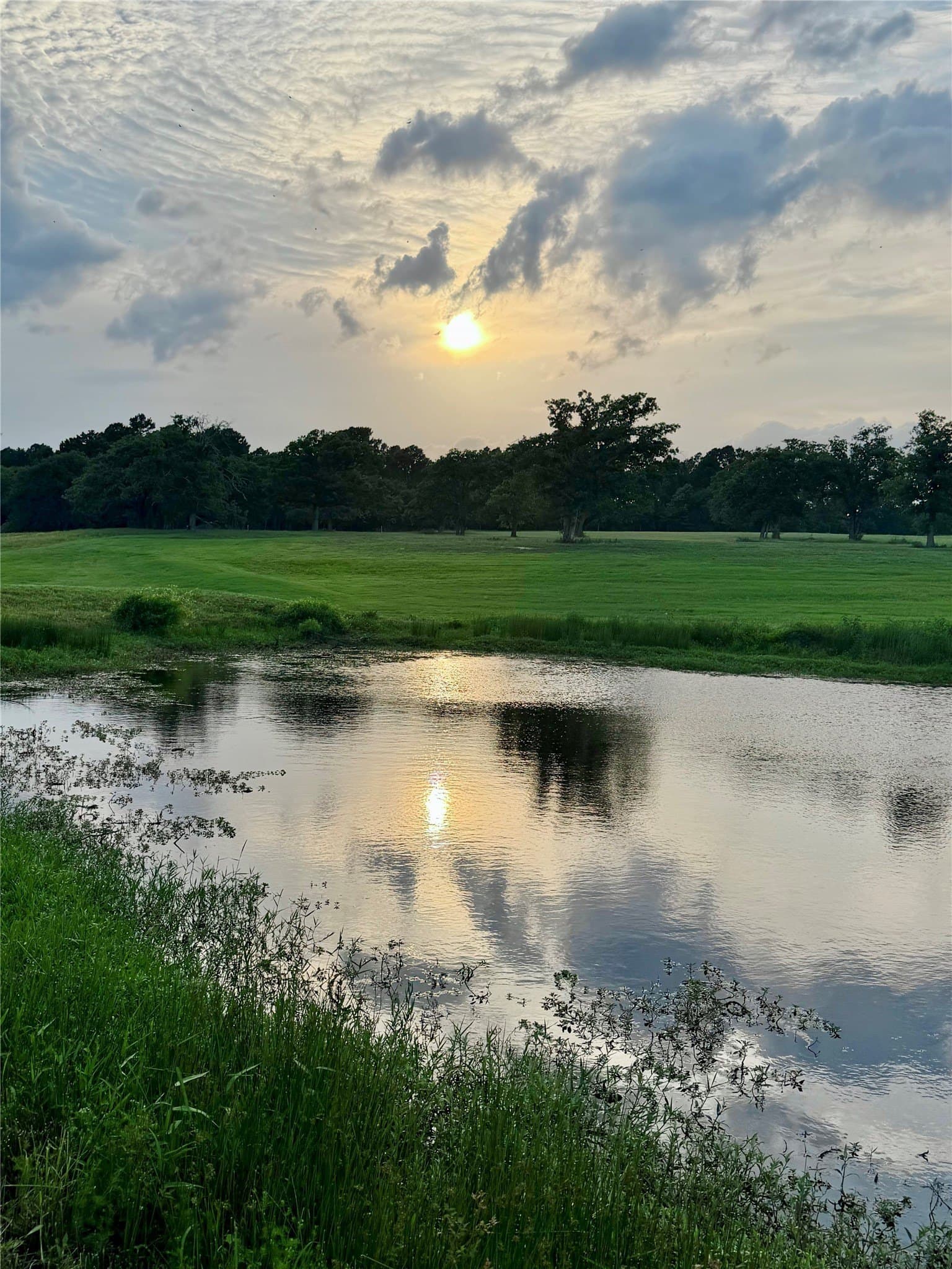 6 acres in Henderson County - photo 8