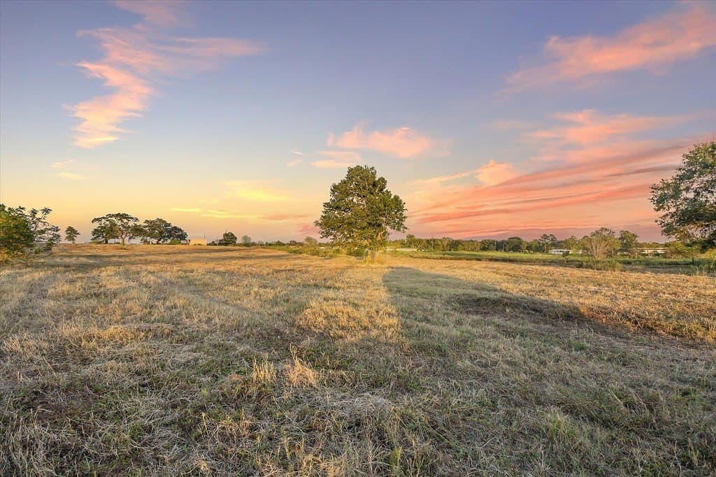 14 acres in Austin County - photo 9