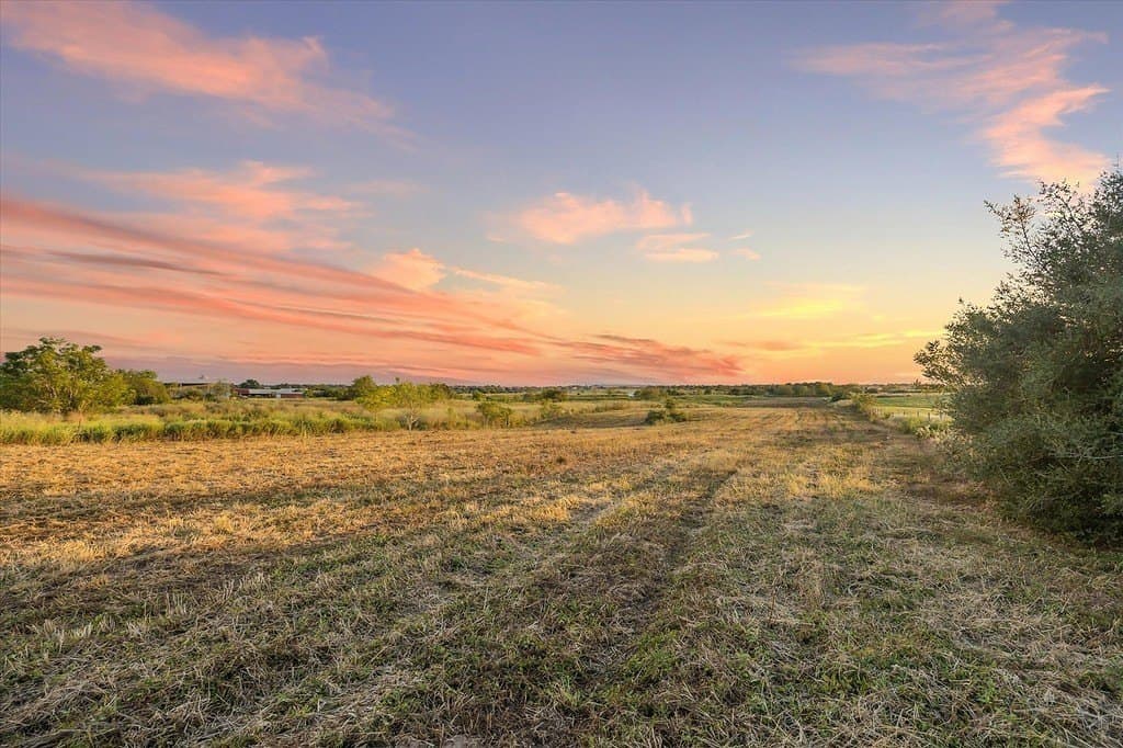 14 acres in Austin County - photo 10