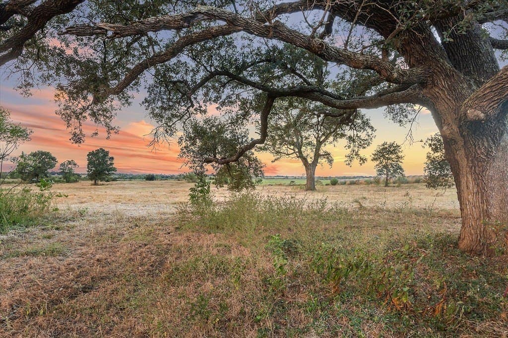 14 acres in Austin County