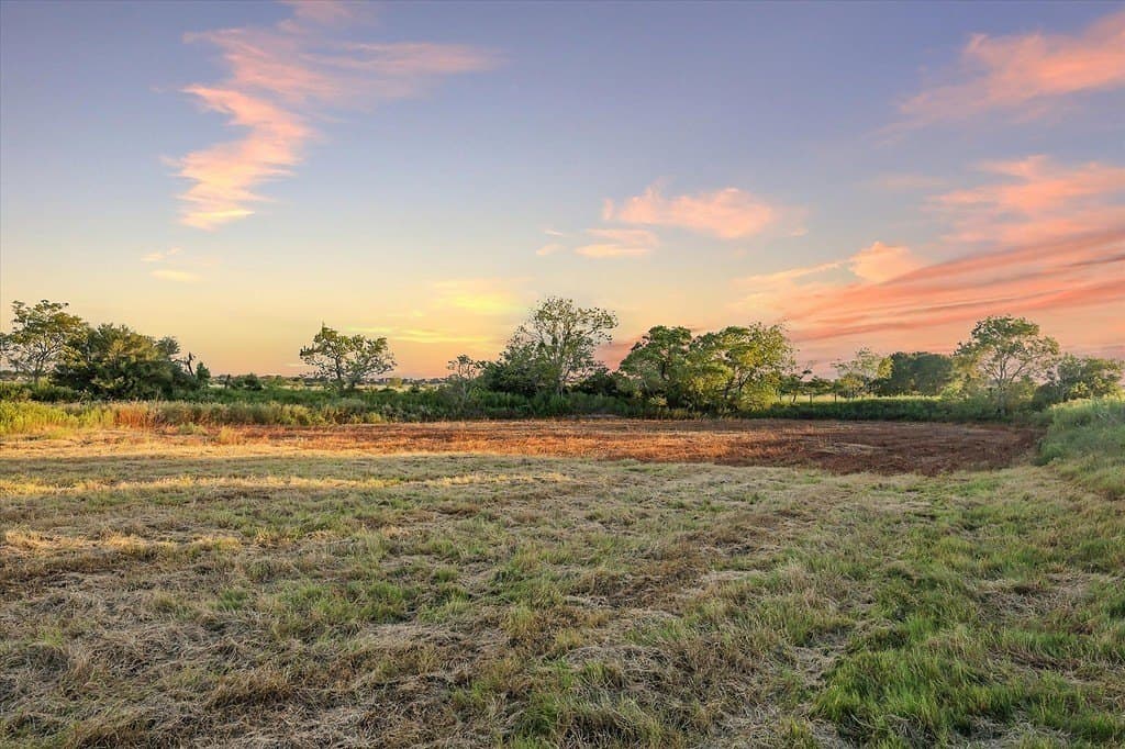 14 acres in Austin County - photo 12