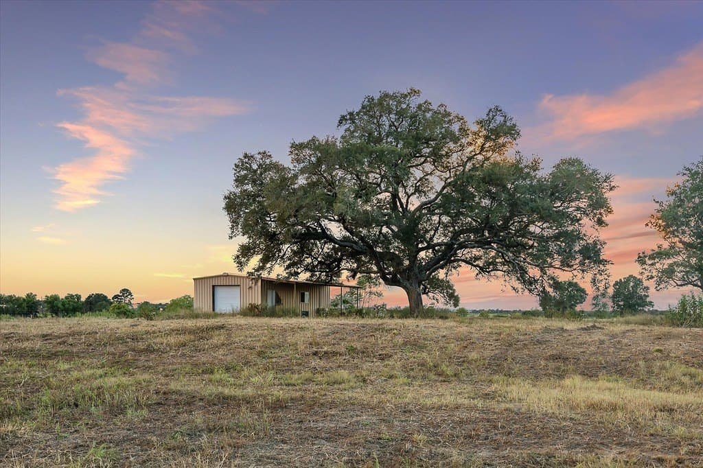 14 acres in Austin County gallery image 2