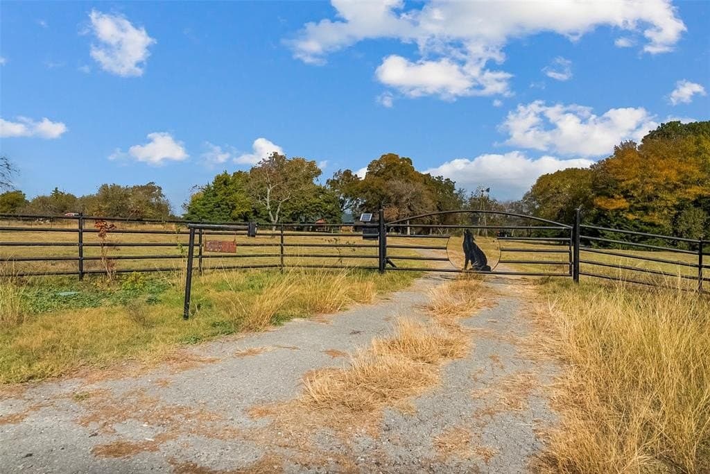 55 acres in Fannin County gallery image 3