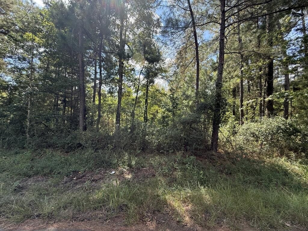 23.5 acres in Texas County - photo 3