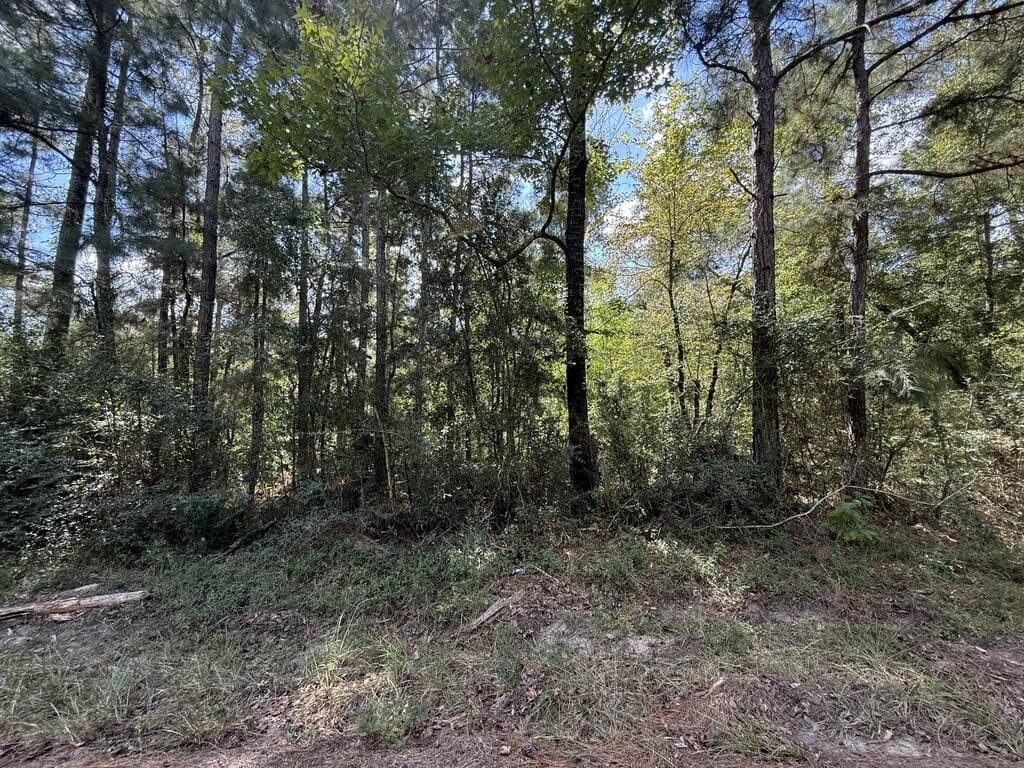 23.5 acres in Texas County - photo 5