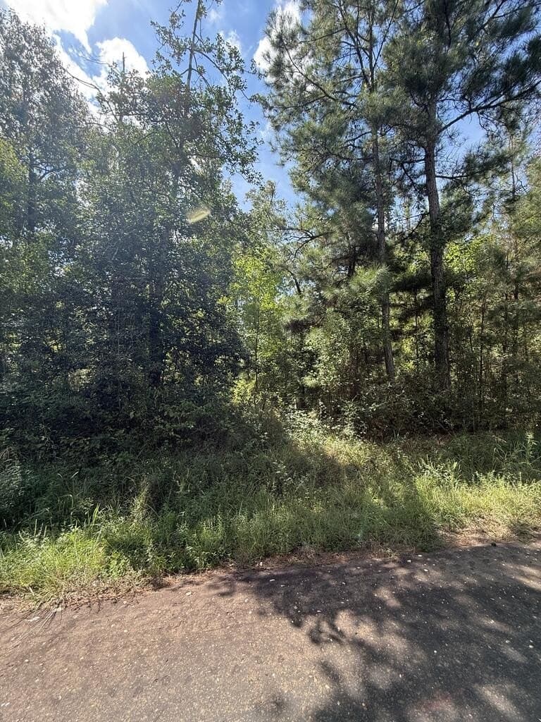 23.5 acres in Texas County - photo 2