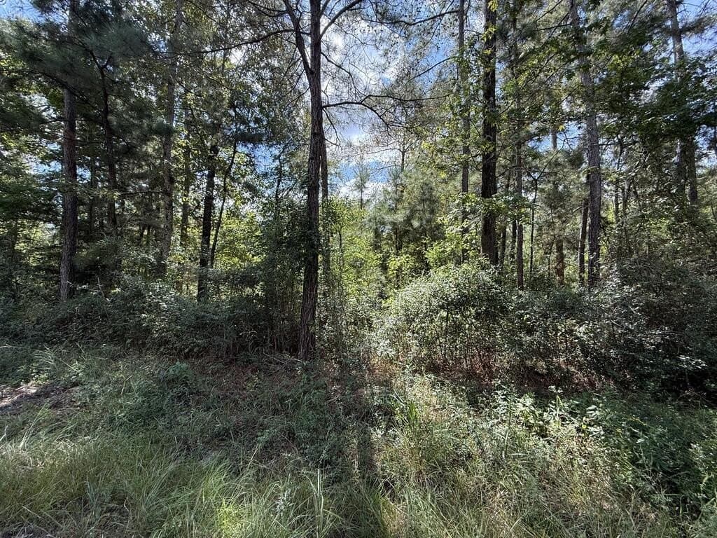 23.5 acres in Texas County - photo 4