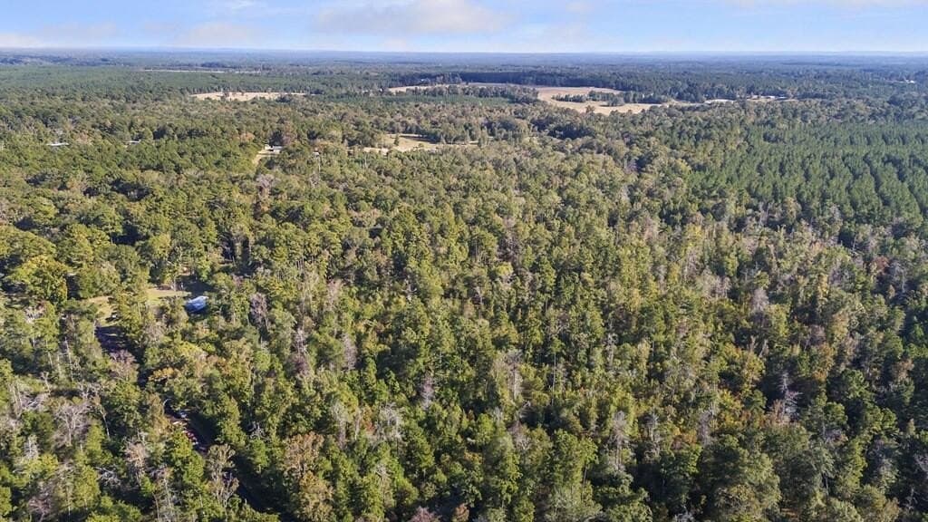 23.5 acres in Texas County
