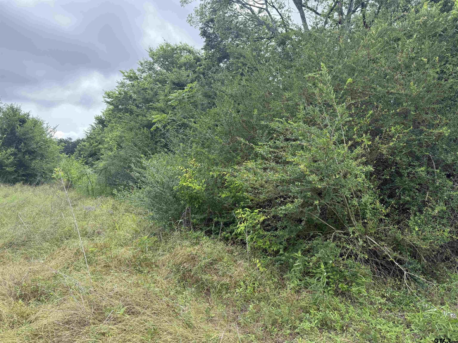 108 acres in Cherokee County gallery image 2