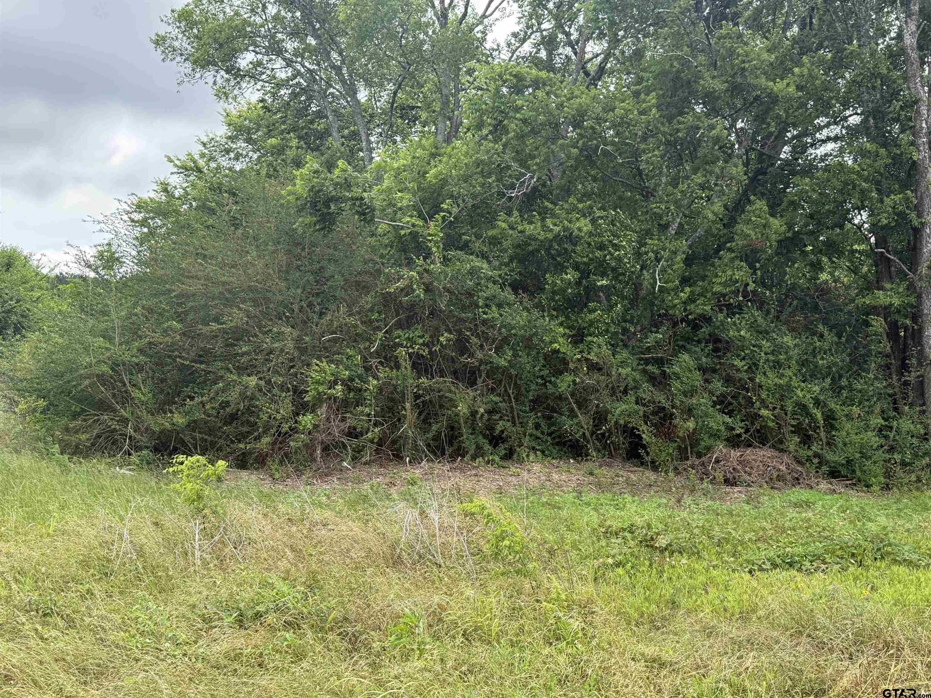 108 acres in Cherokee County gallery image 3