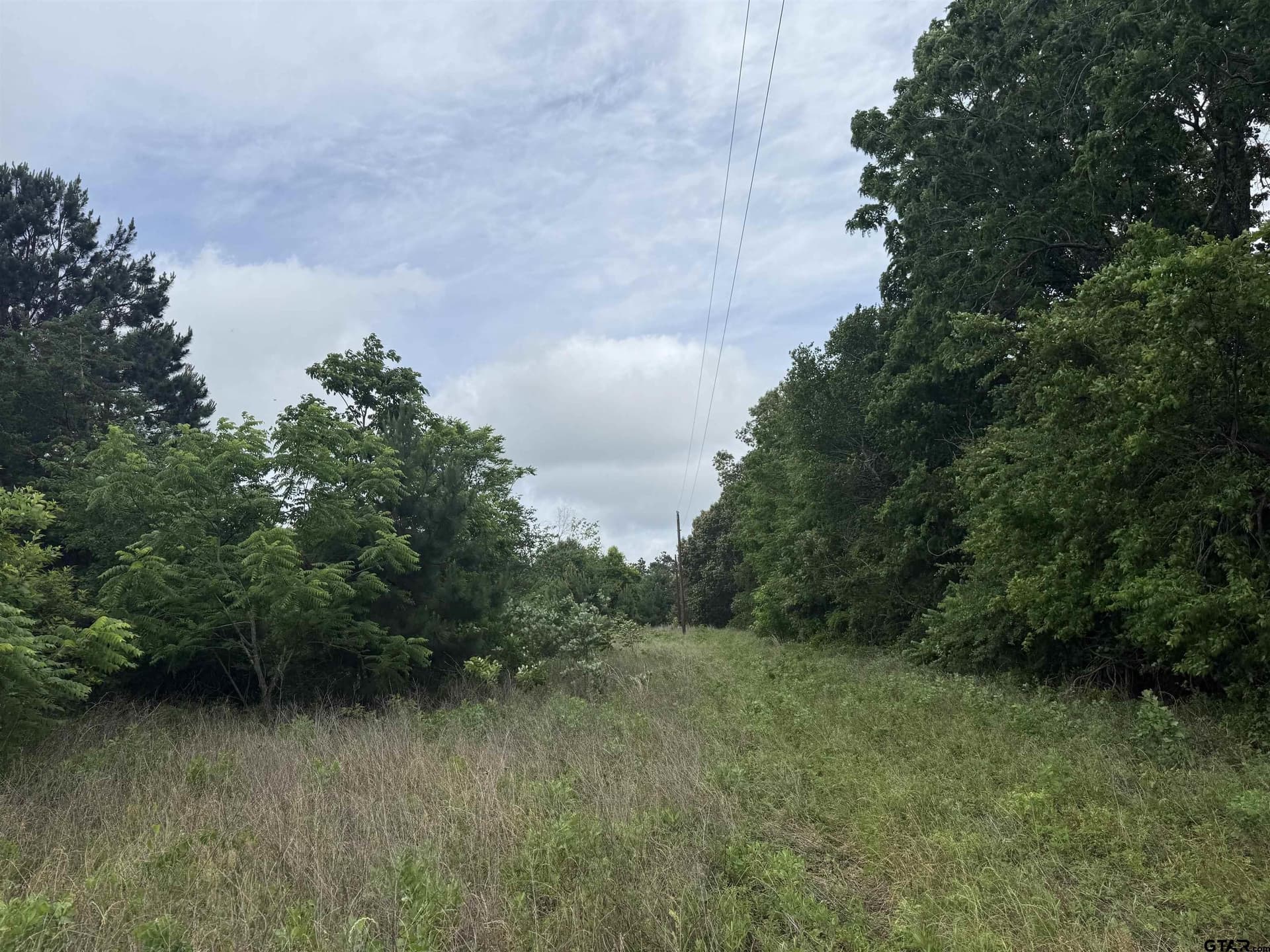 108 acres in Cherokee County gallery image 4