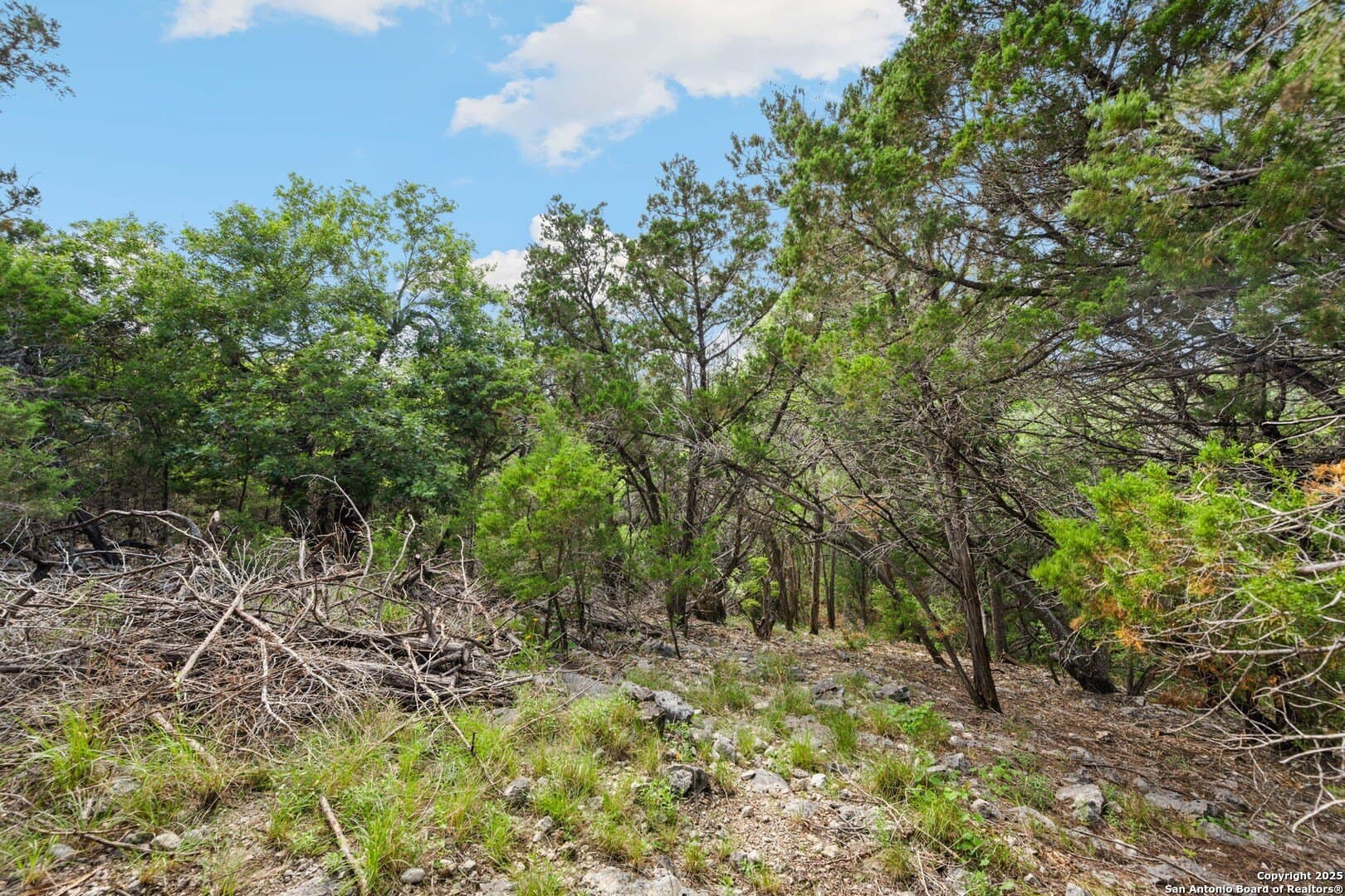 1.2 acres in Comal County gallery image 2