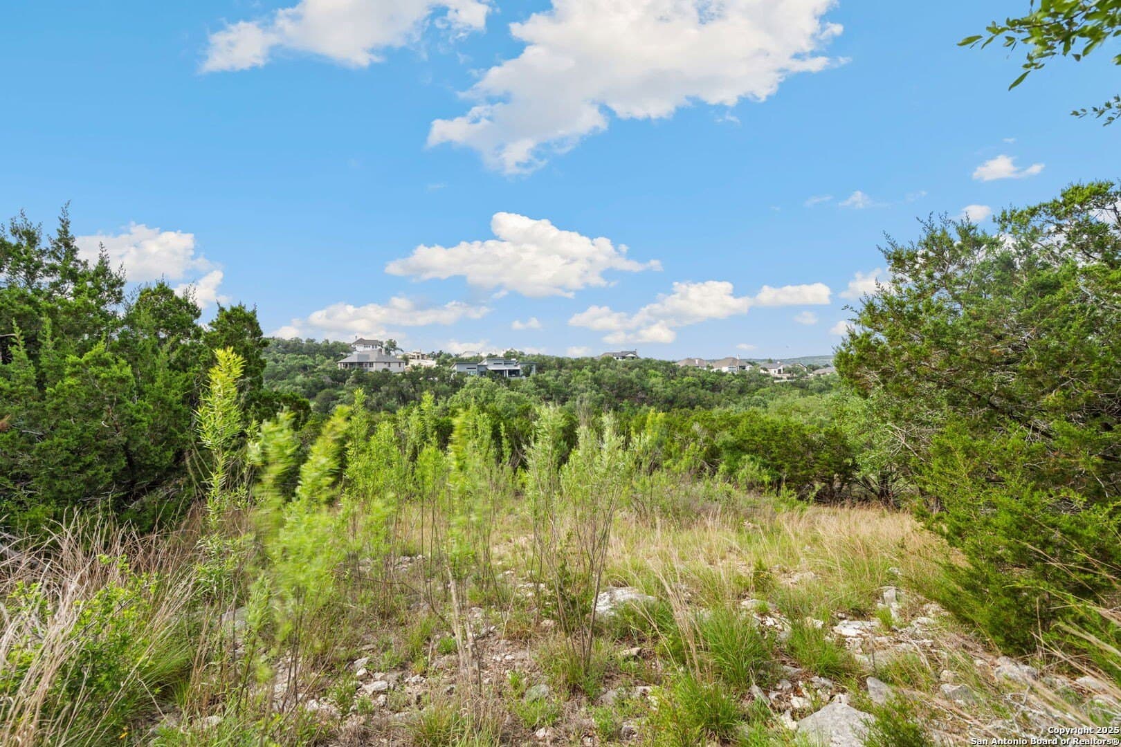 1.2 acres in Comal County gallery image 4