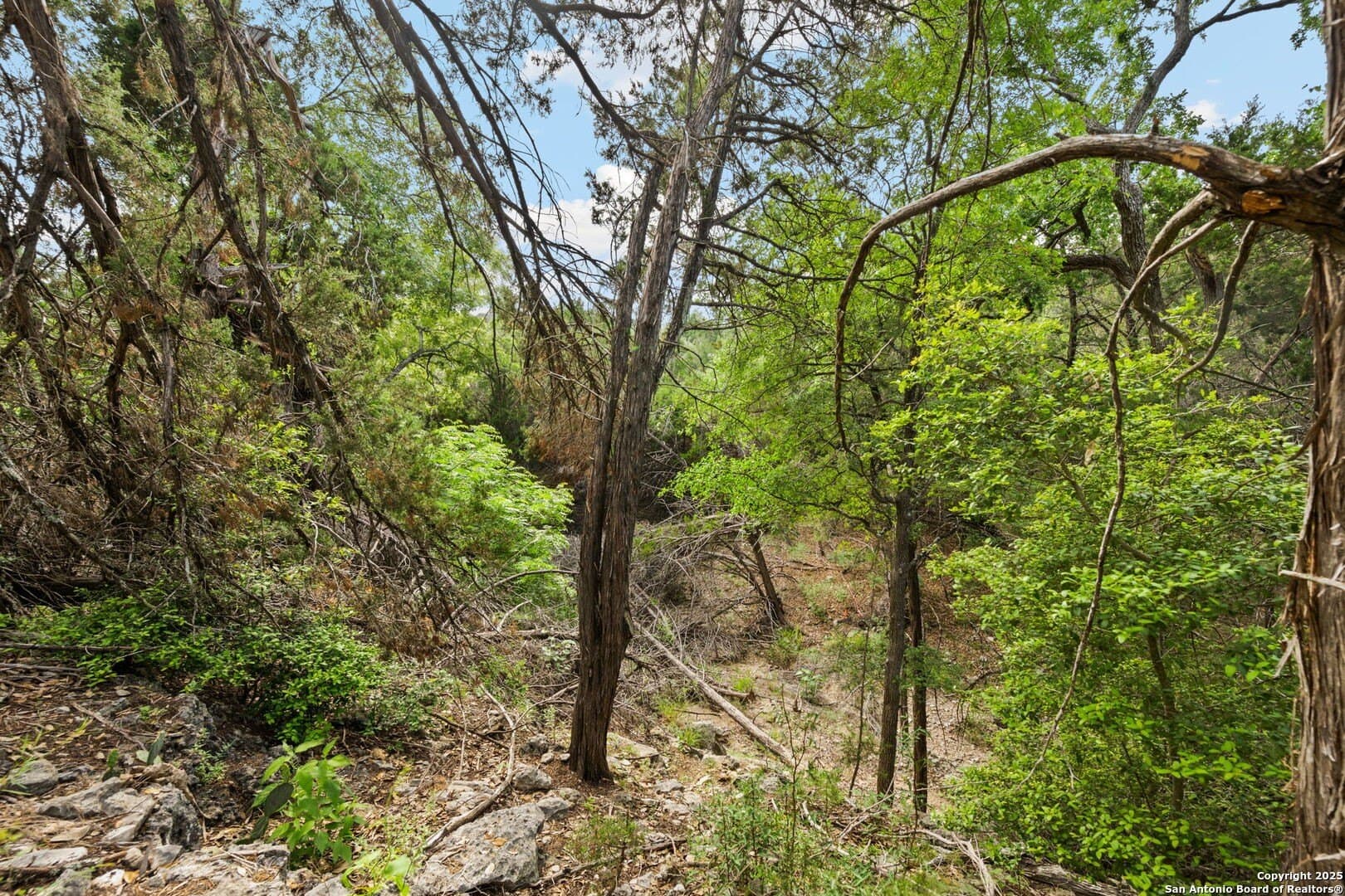 1.2 acres in Comal County - photo 6