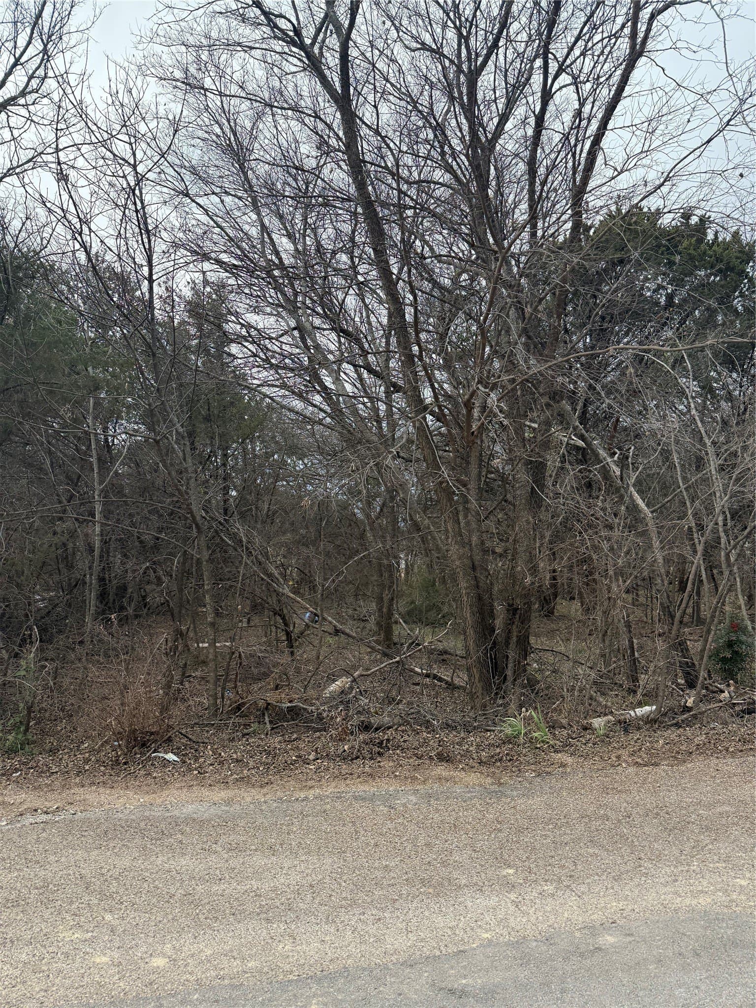 0.08 acres in Hood County - photo 7